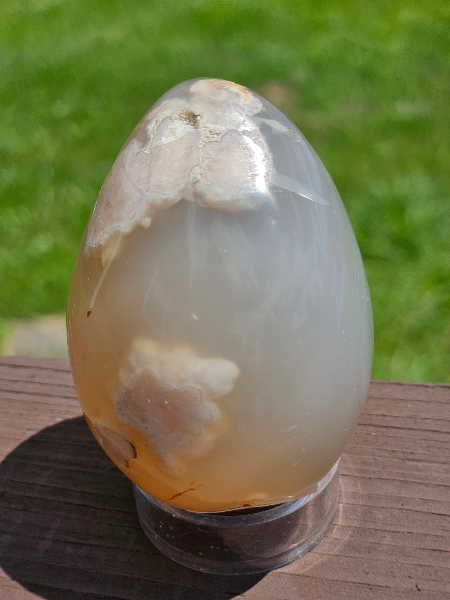 Flower Agate Egg