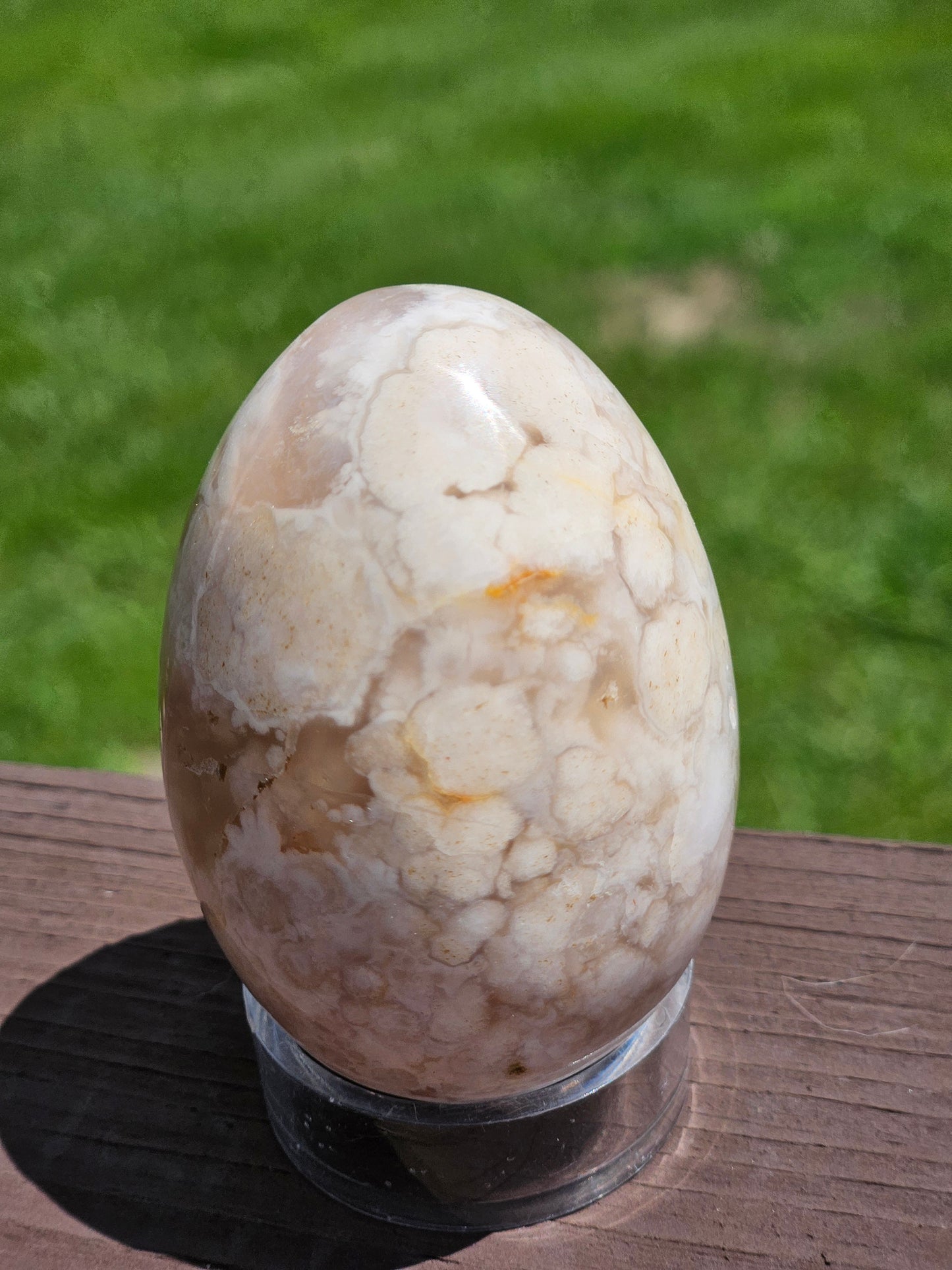 Flower Agate Egg