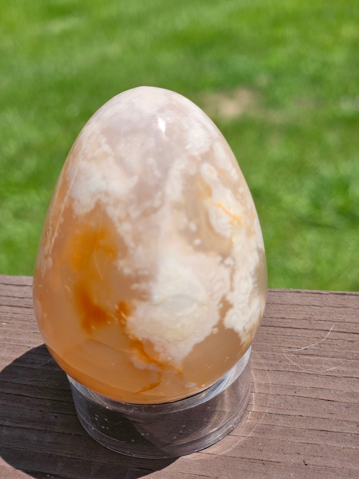 Flower Agate Egg