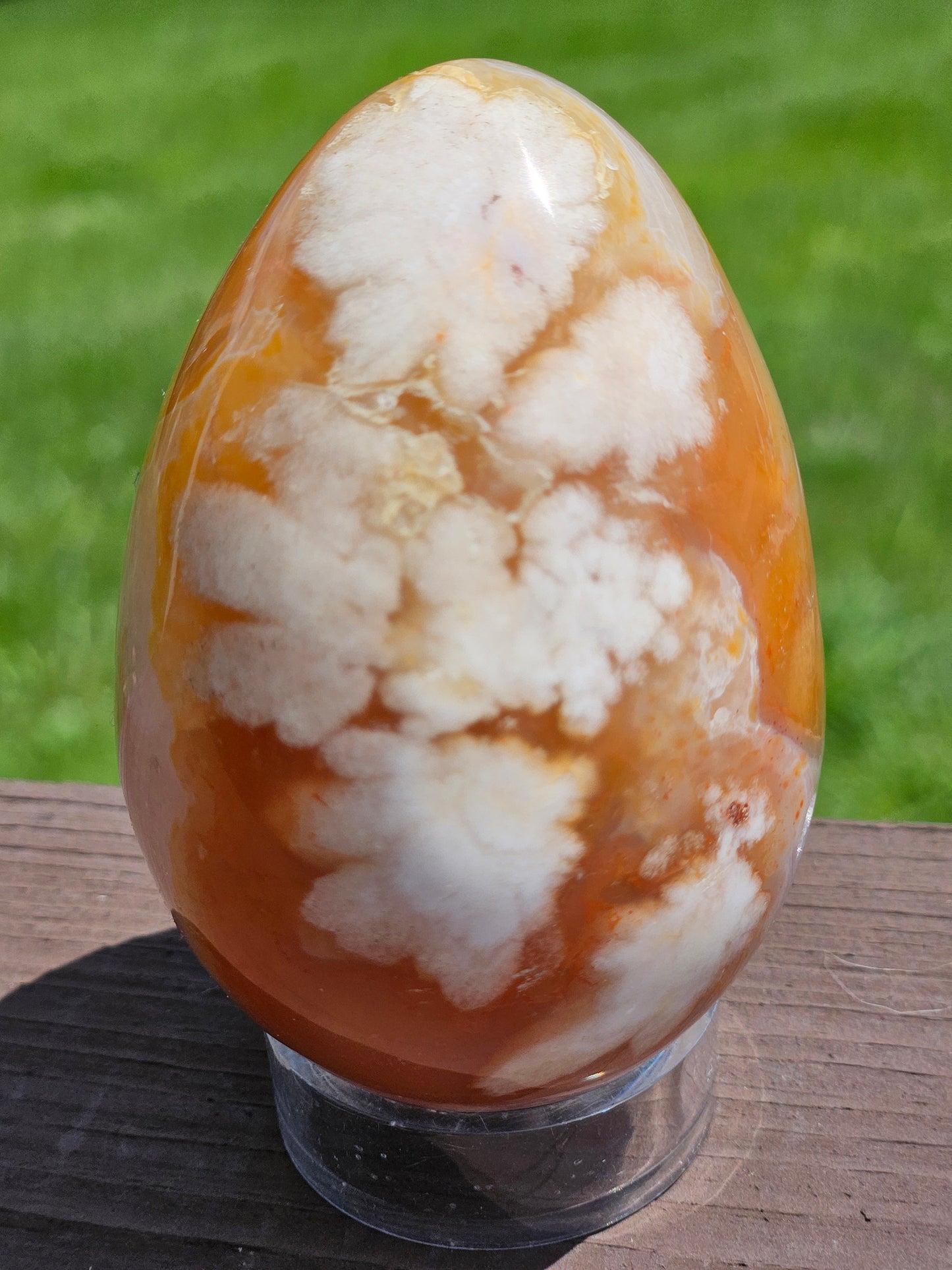 Flower Agate Egg