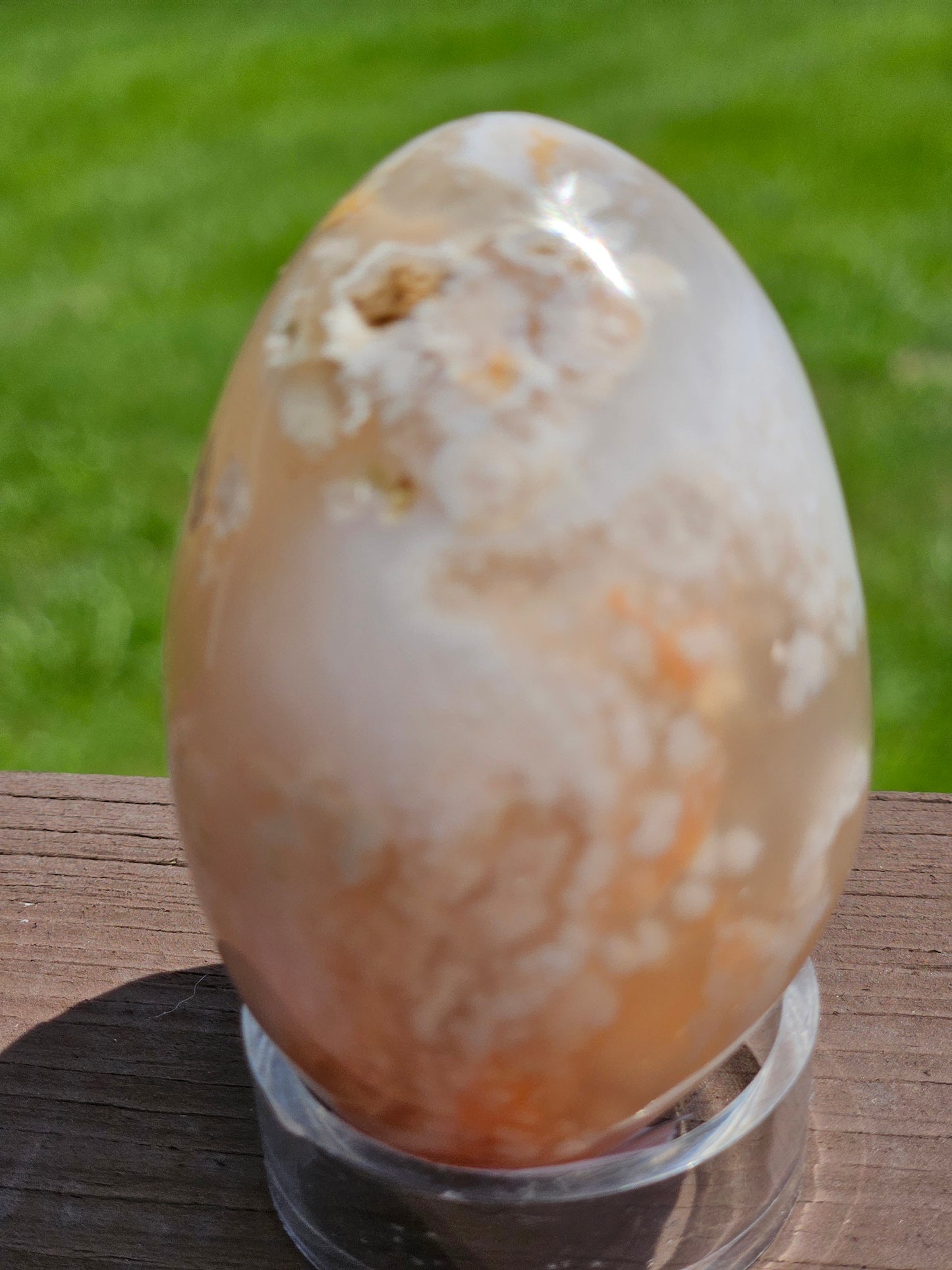 Flower Agate Egg