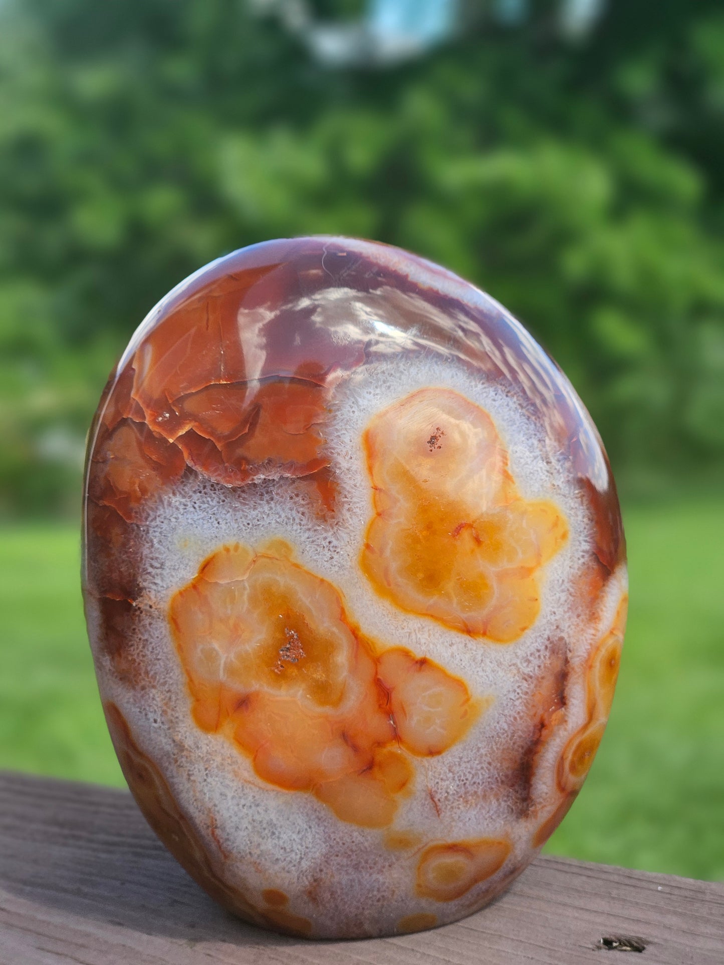 Carnelian Free-Form