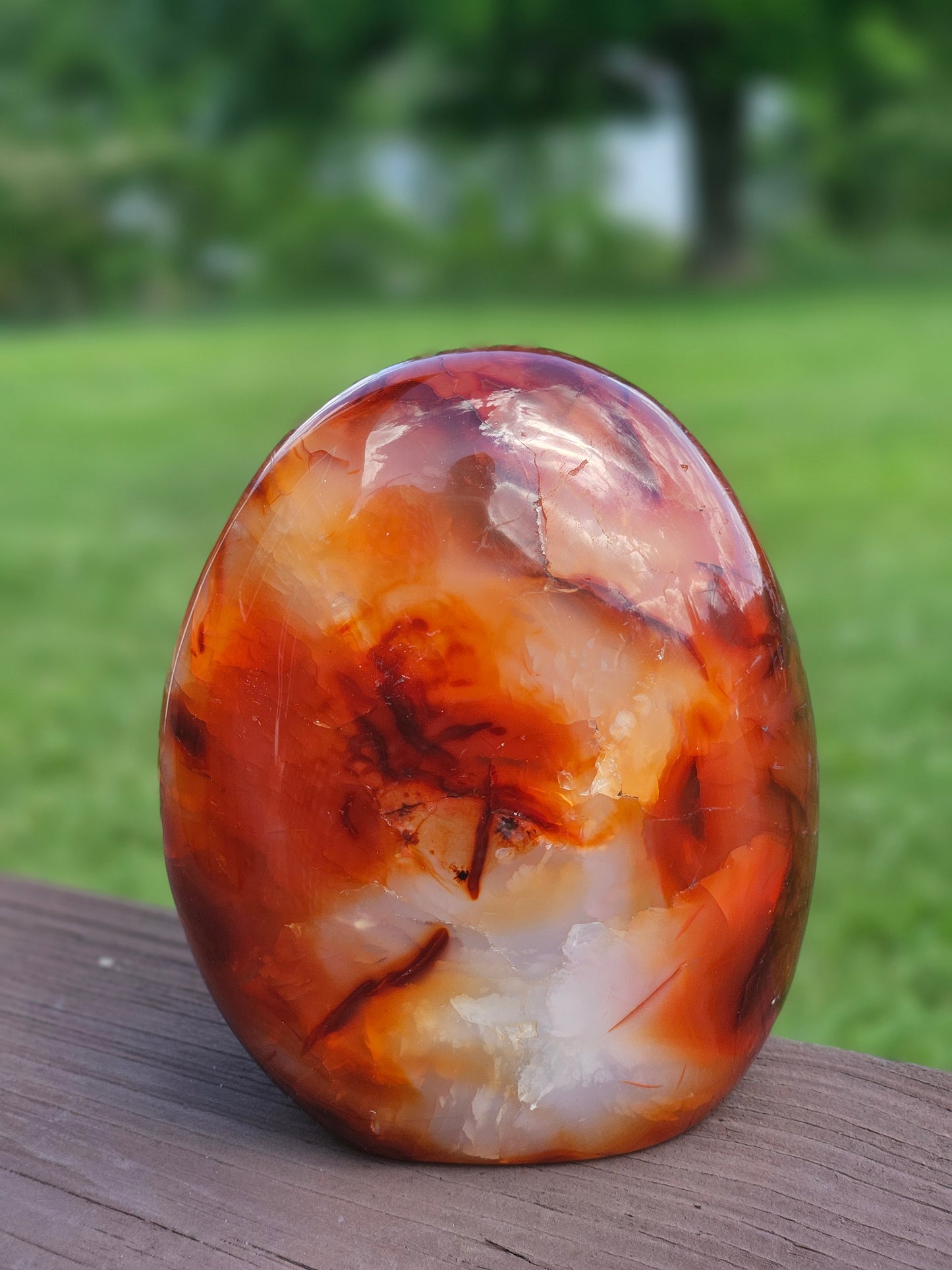Carnelian Free-Form