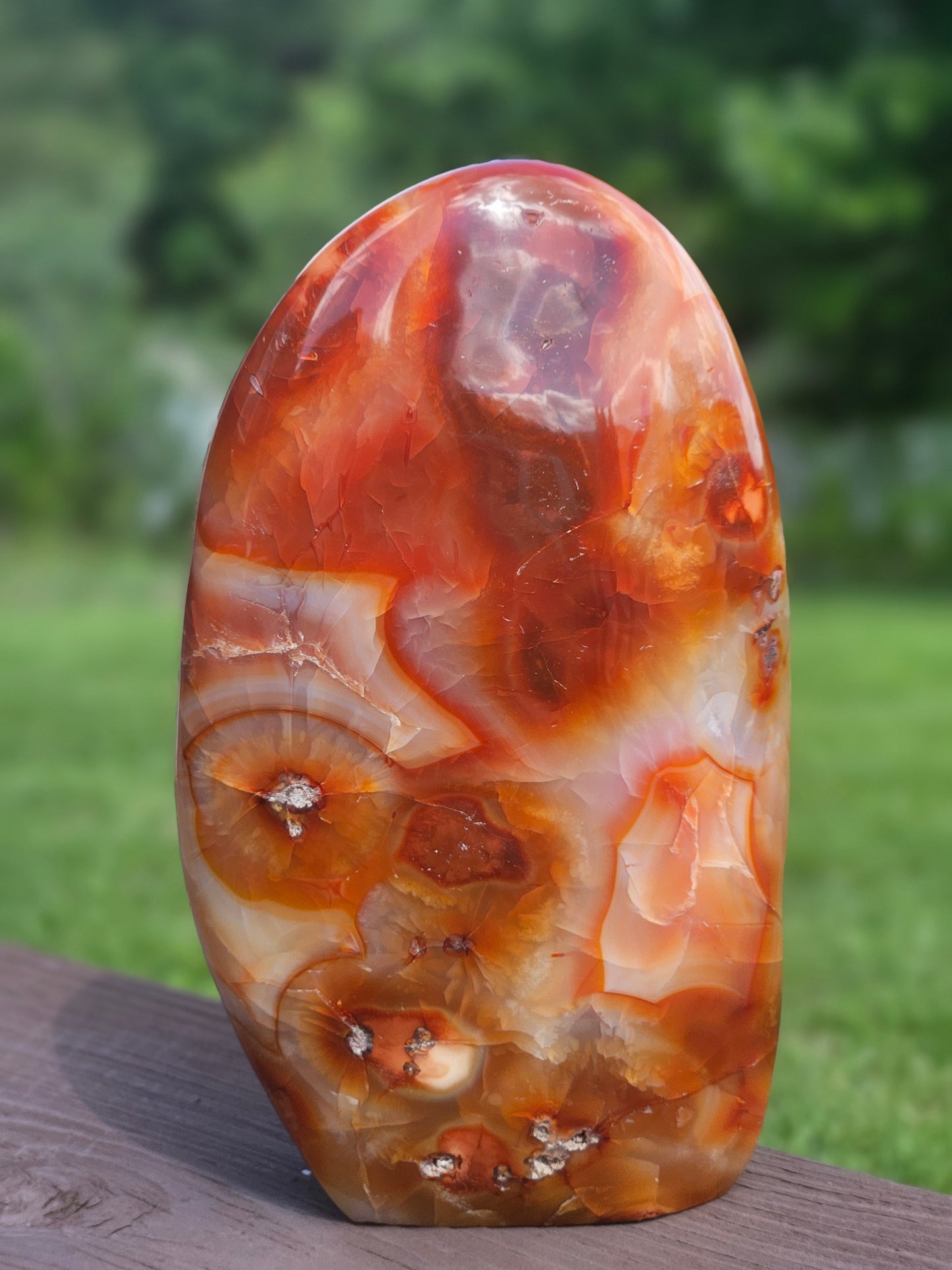 Carnelian Free-Form