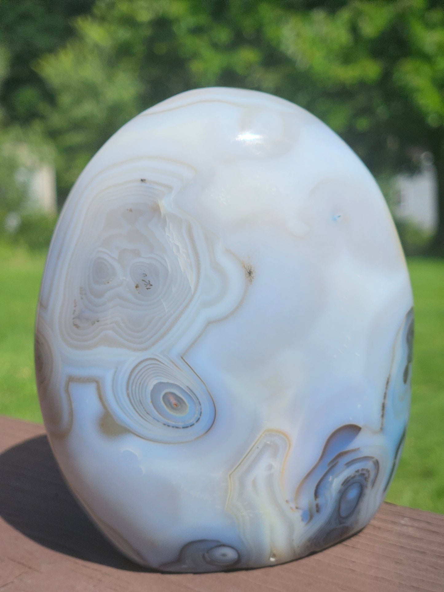 Orca and Banded Agate Free-Form