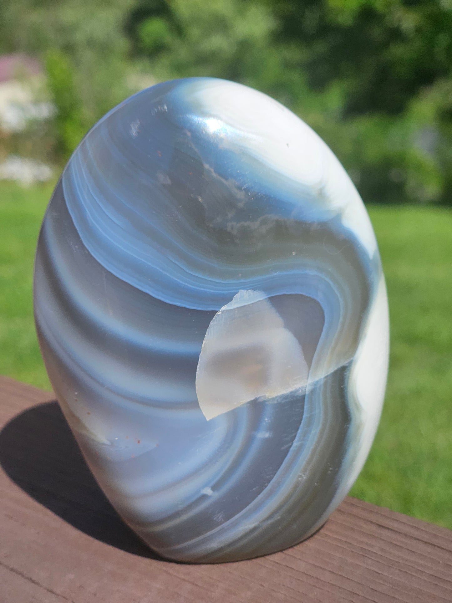 Orca and Banded Agate Free-Form