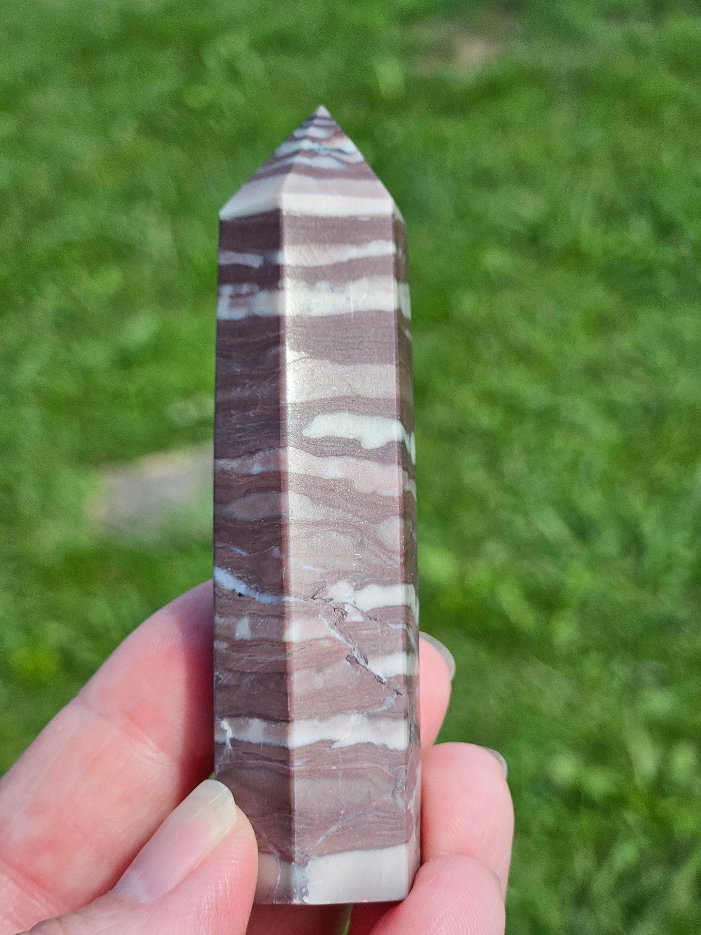 Zebra Jasper Tower