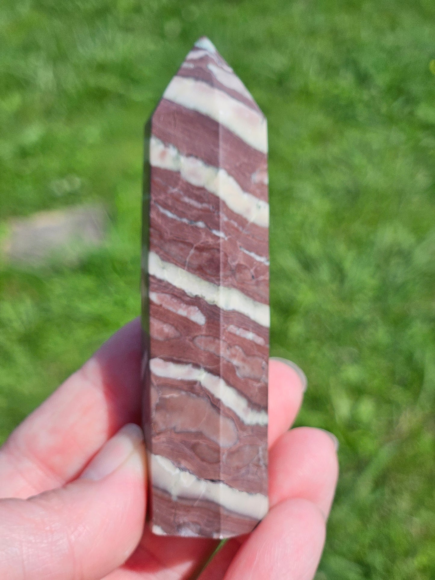 Zebra Jasper Tower