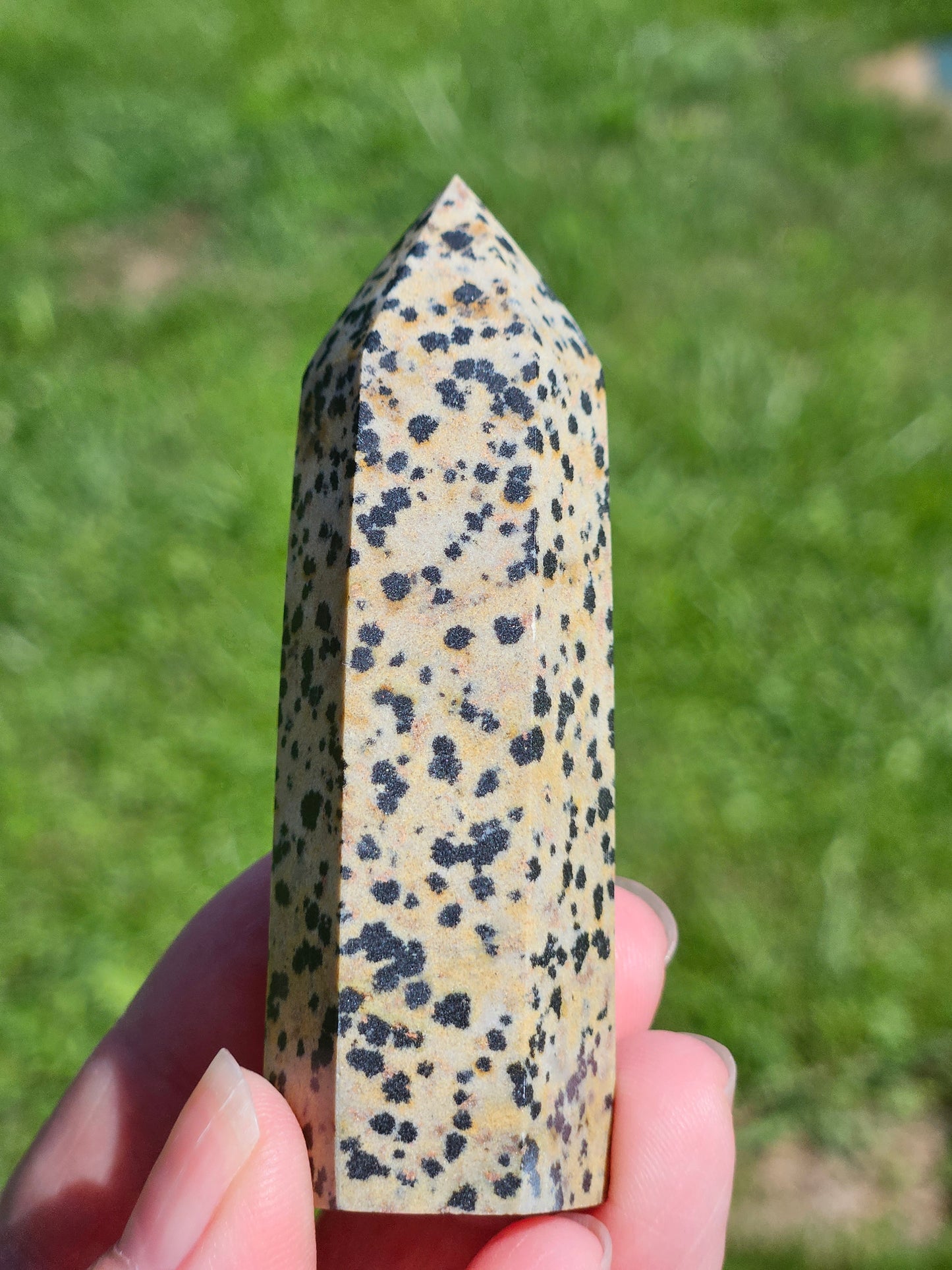 Dalmatian Jasper Tower