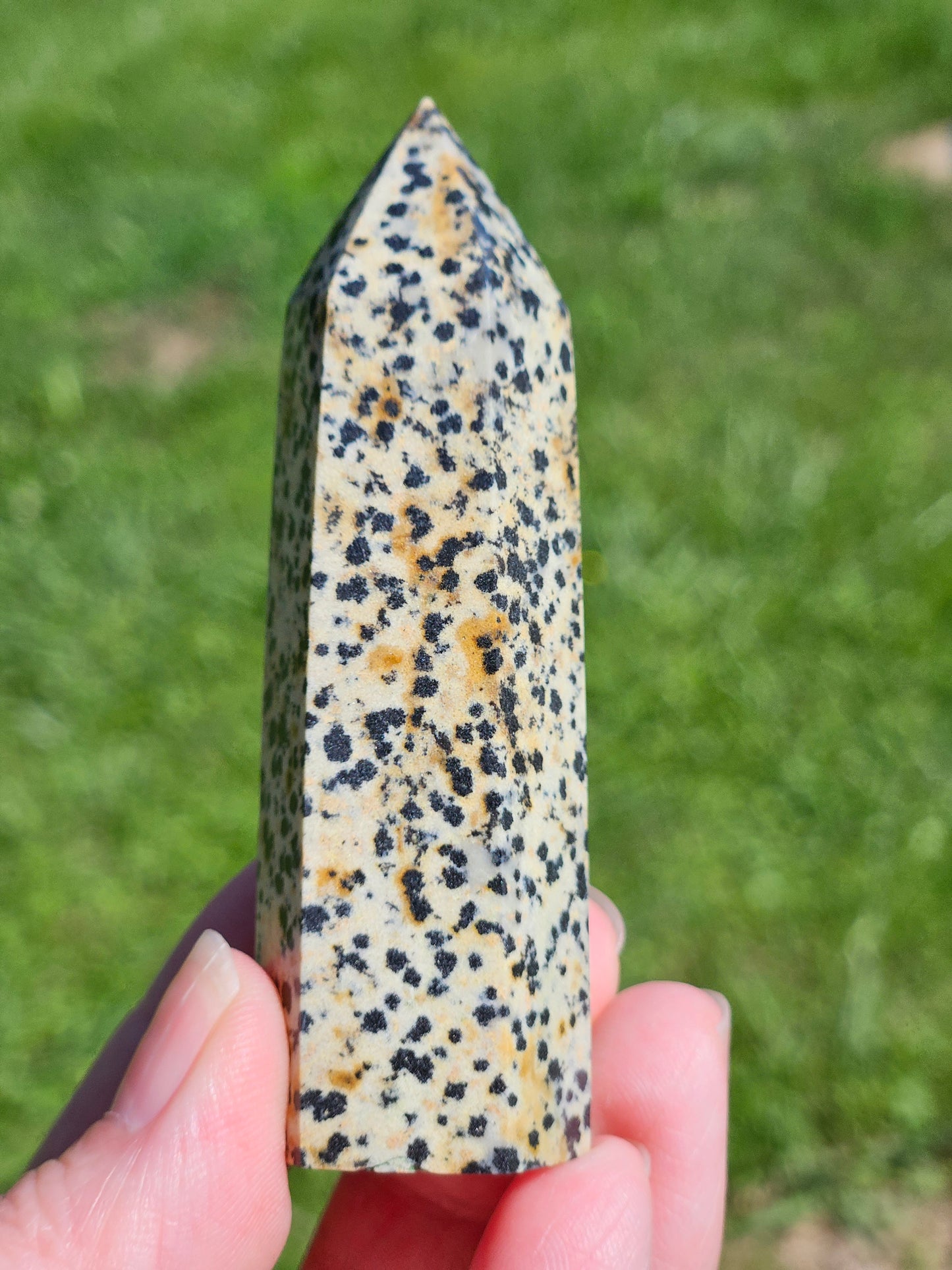 Dalmatian Jasper Tower