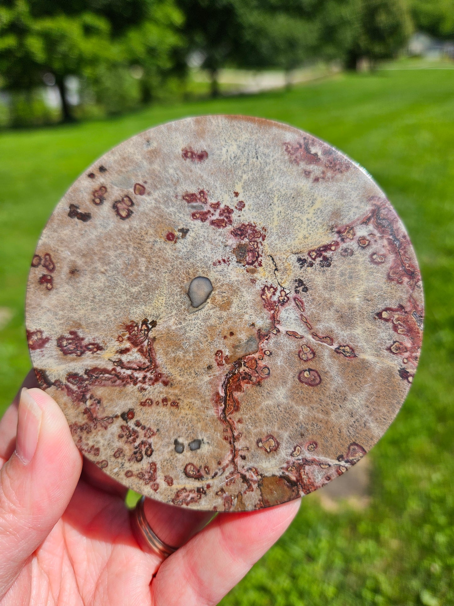 Picture Jasper Plate