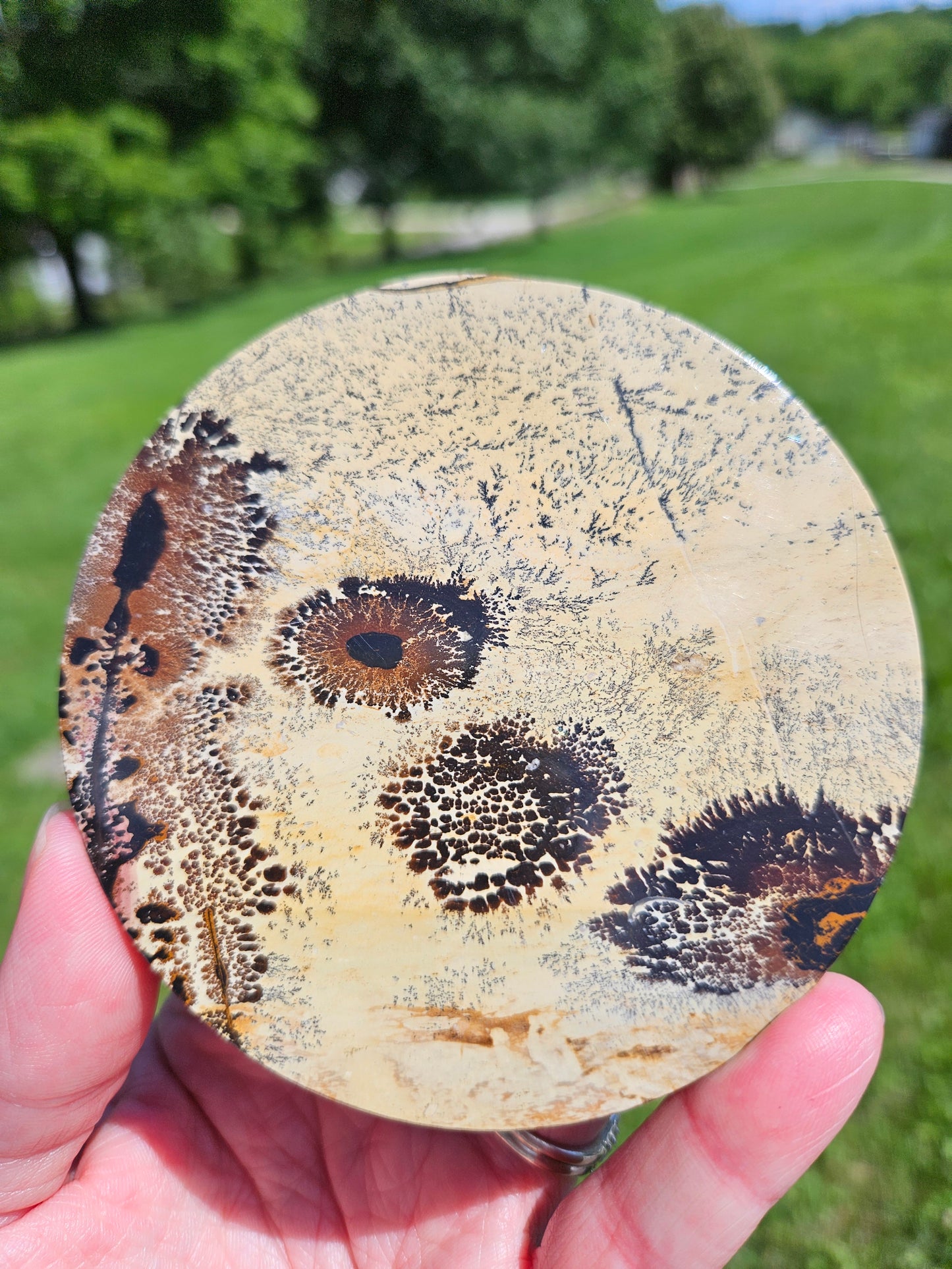 Picture Jasper Plate