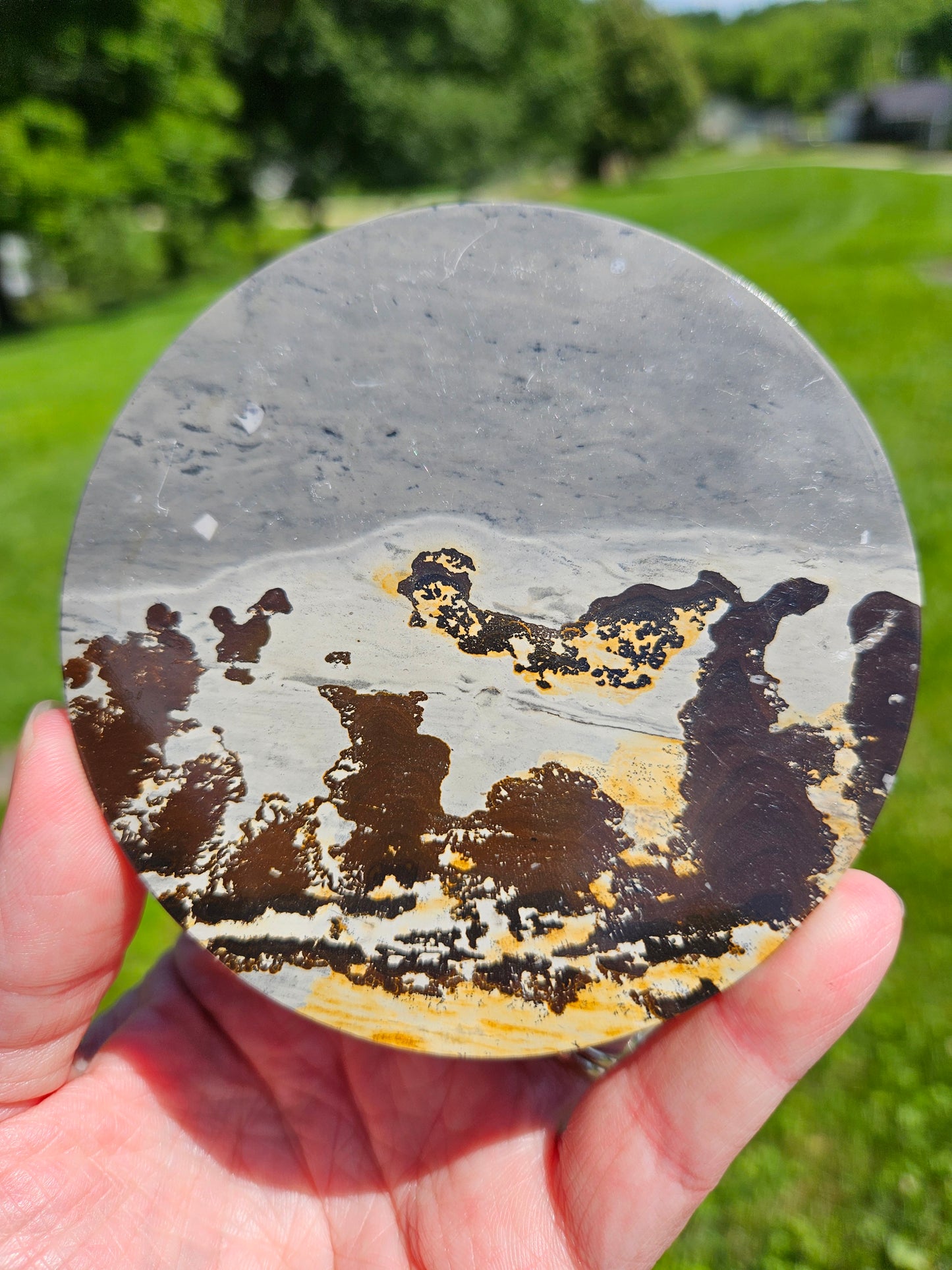 Picture Jasper Plate