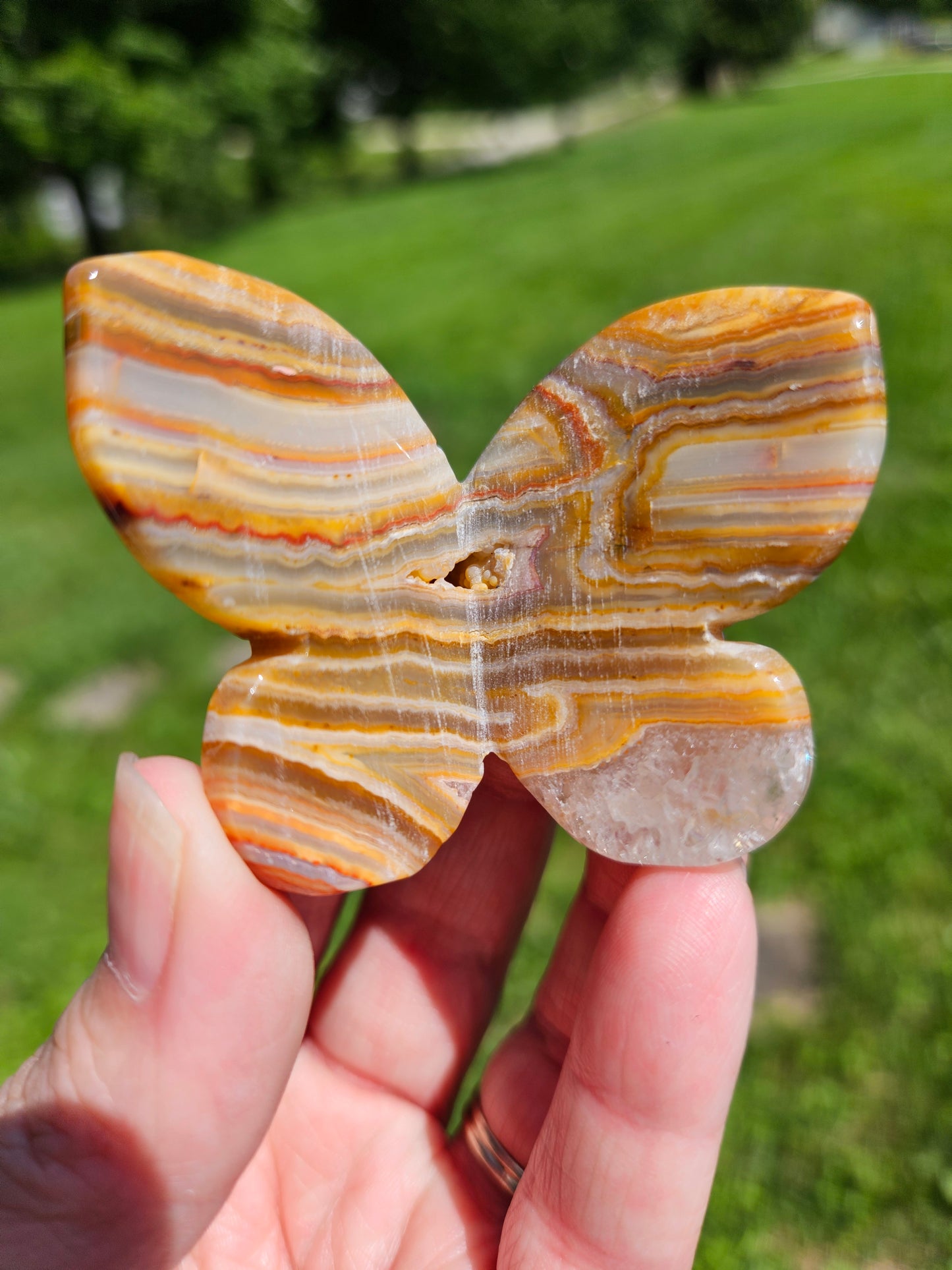 Crazy Lace Agate 3D Butterfly
