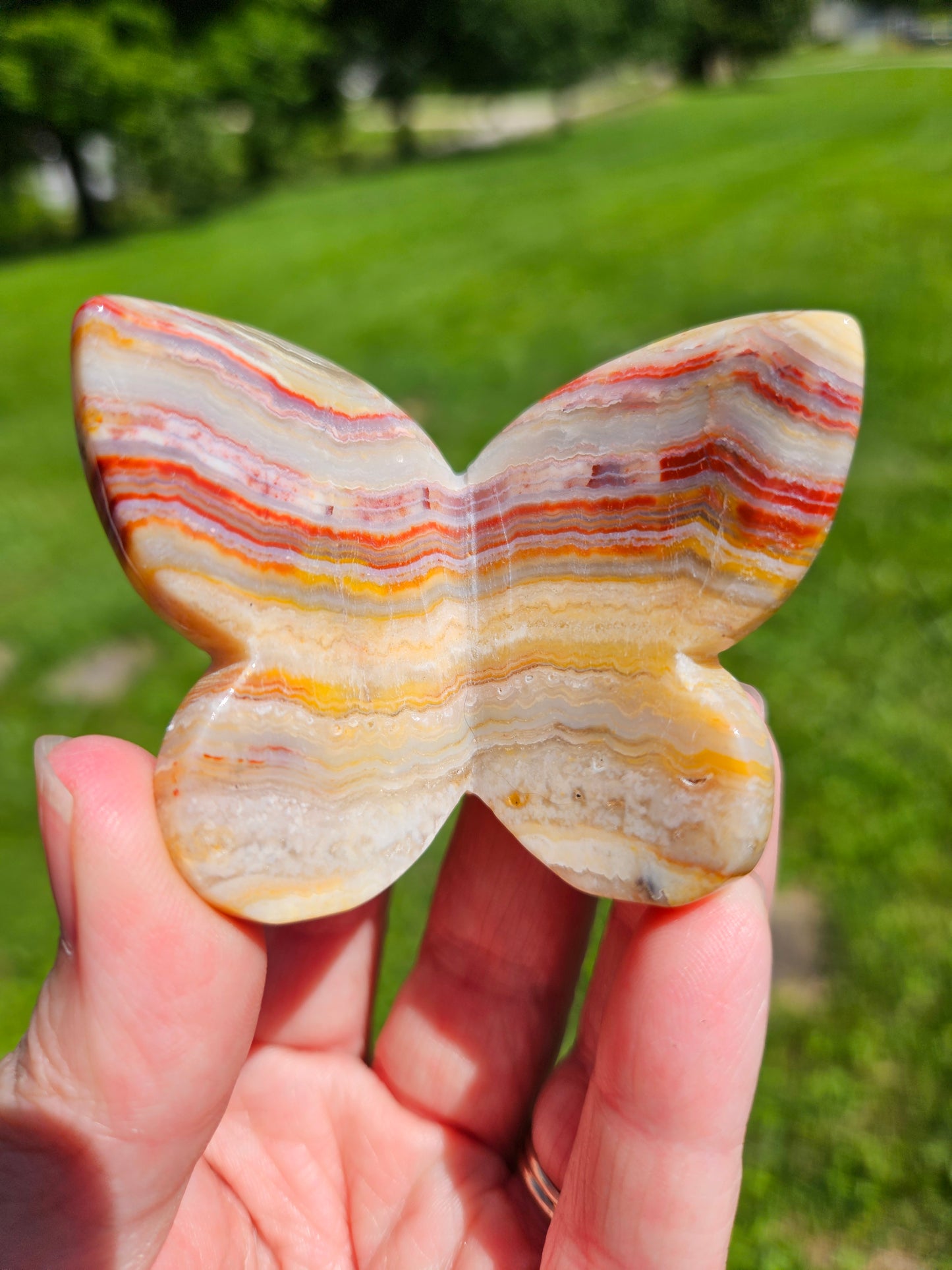 Crazy Lace Agate 3D Butterfly