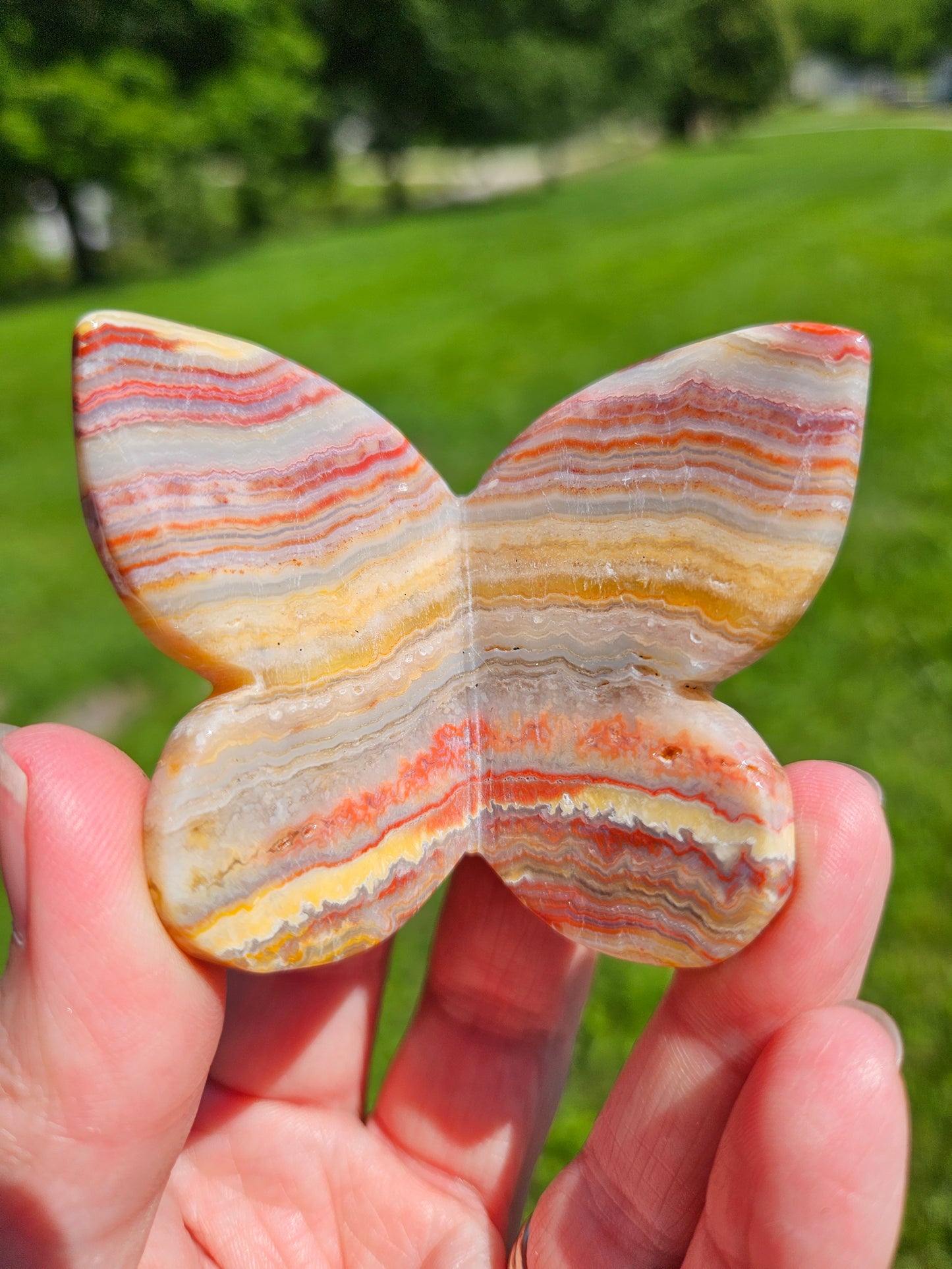 Crazy Lace Agate 3D Butterfly