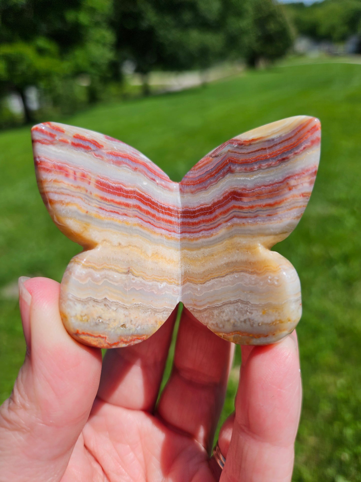 Crazy Lace Agate 3D Butterfly