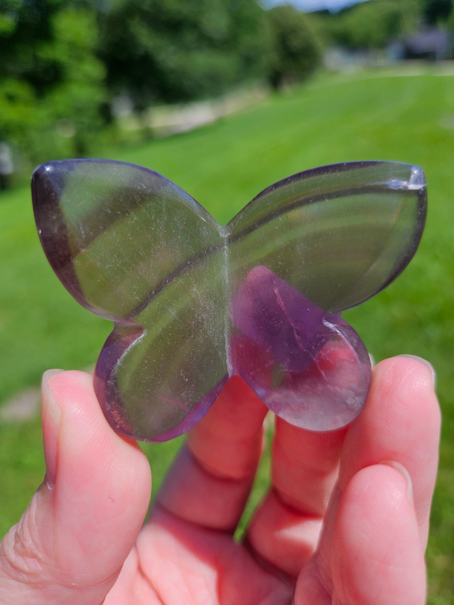 Fluorite 3D Butterfly