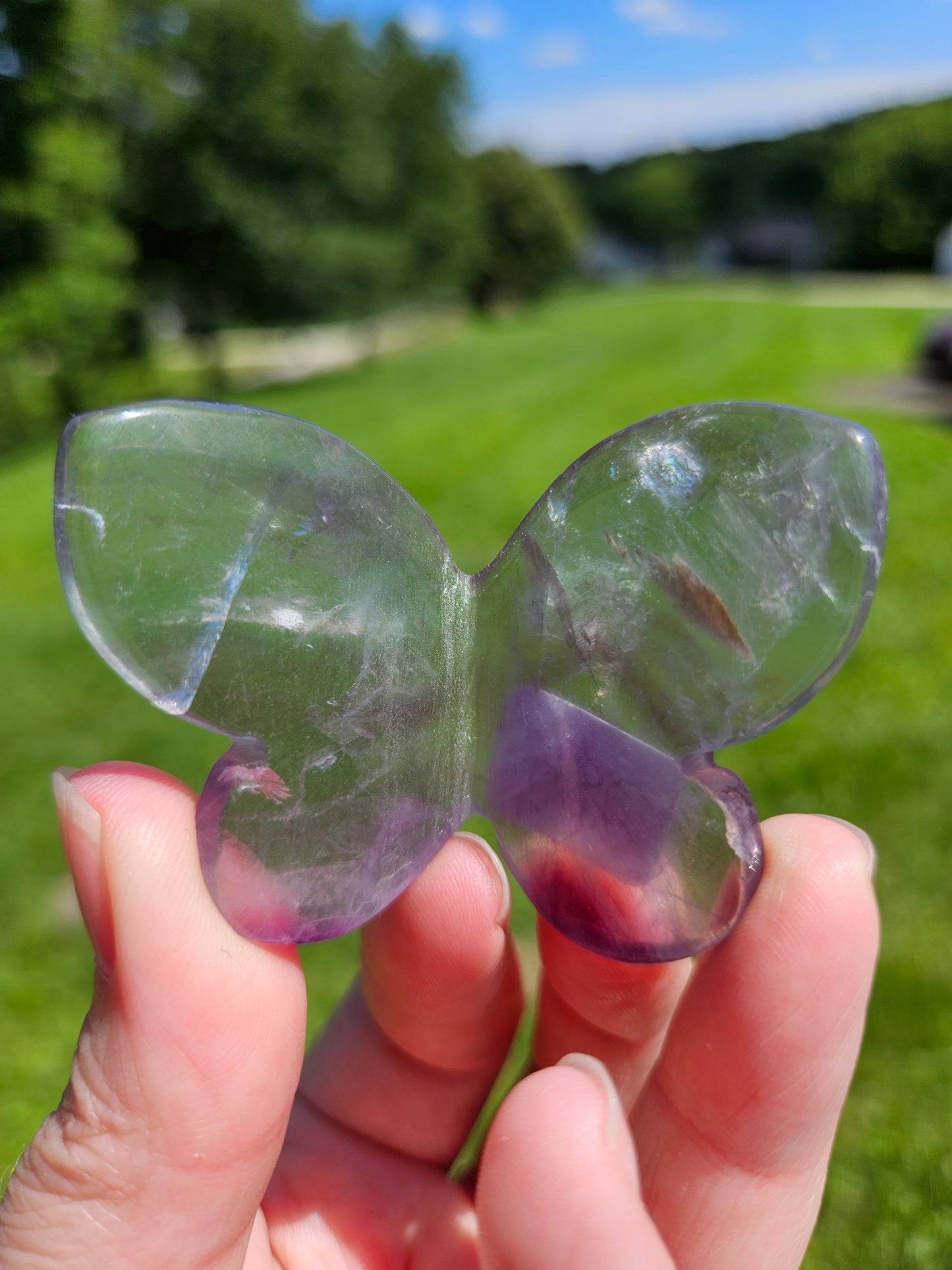 Fluorite 3D Butterfly