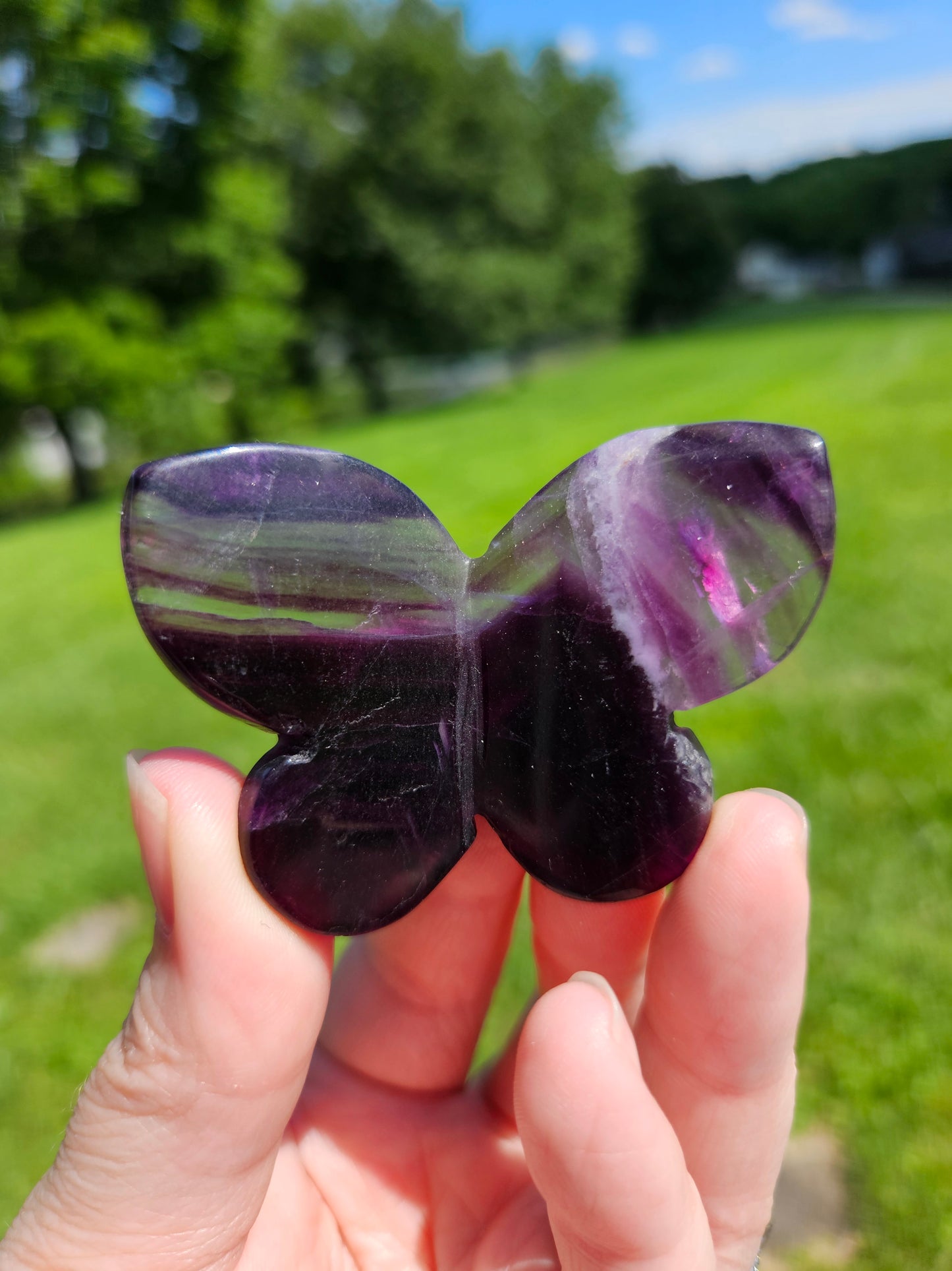 Fluorite 3D Butterfly
