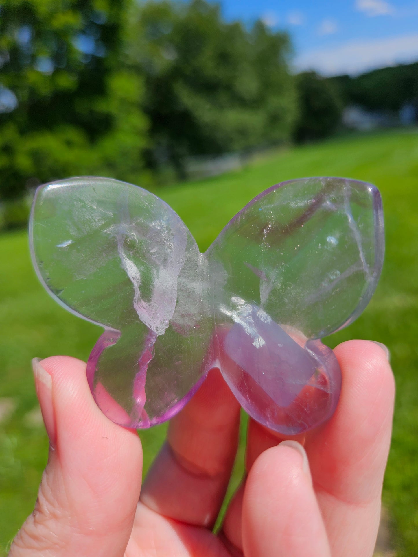 Fluorite 3D Butterfly