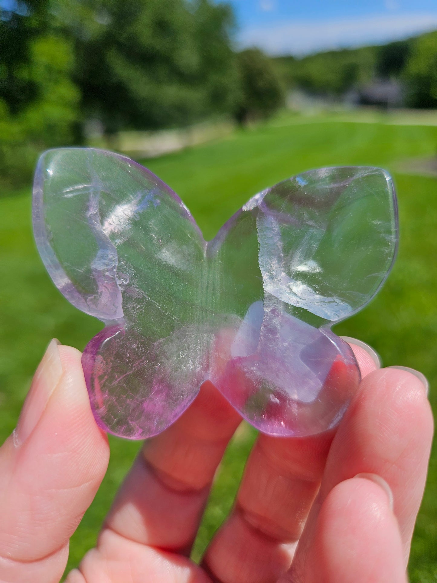 Fluorite 3D Butterfly