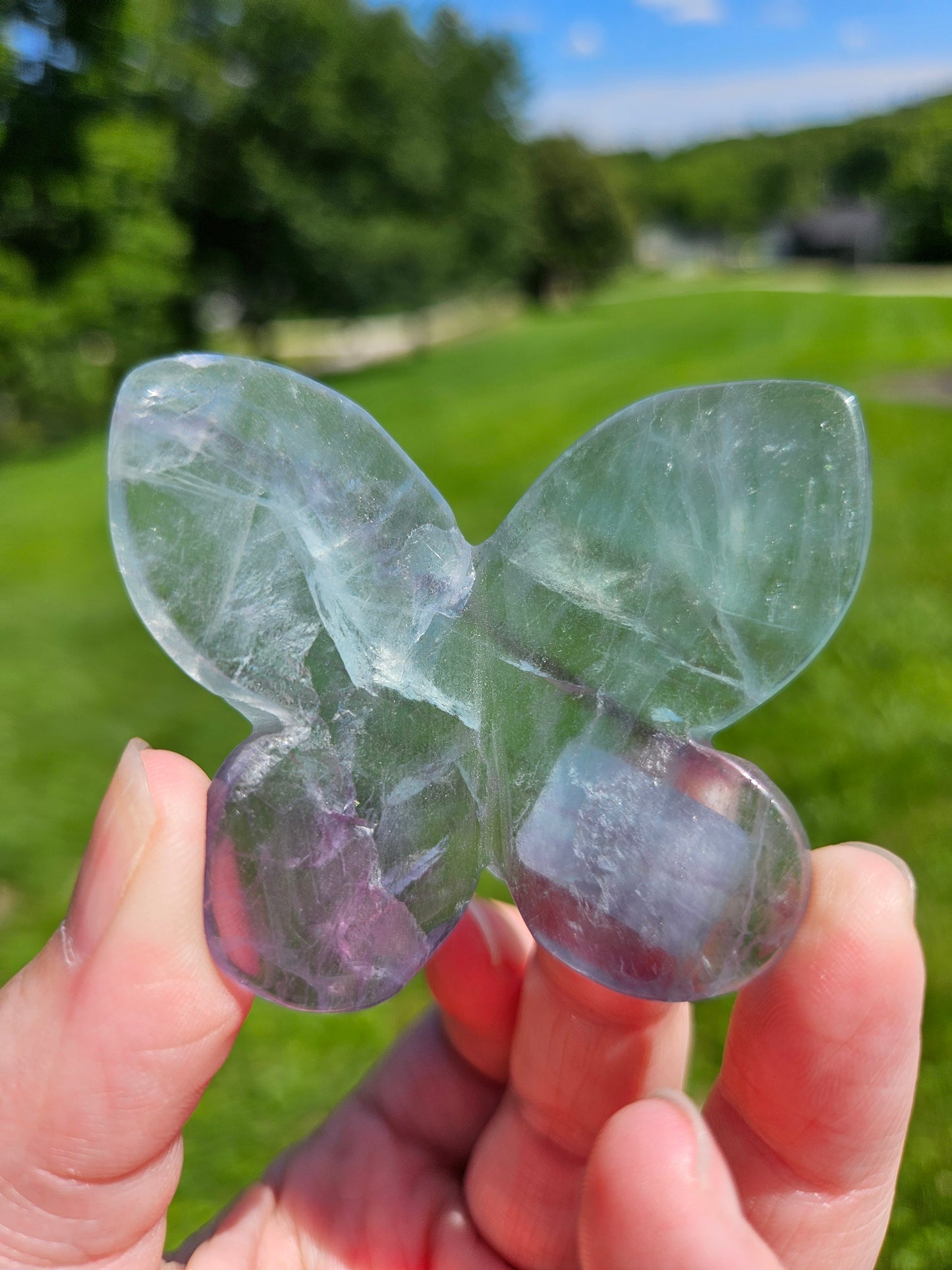 Fluorite 3D Butterfly