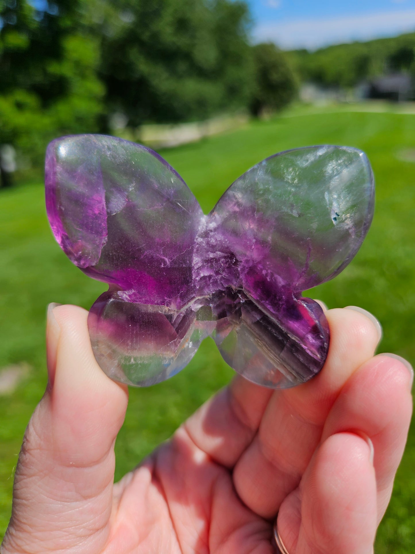 Fluorite 3D Butterfly