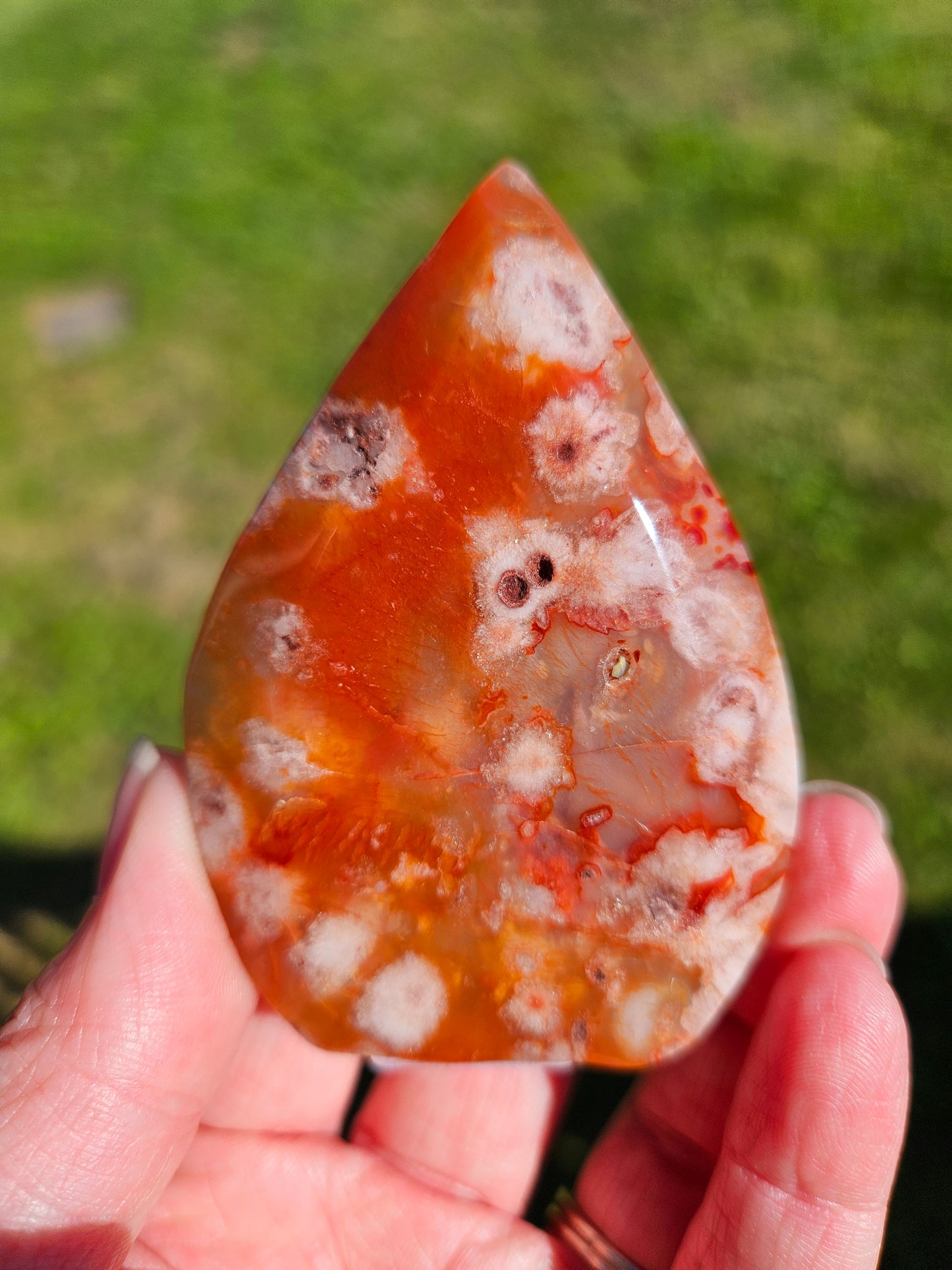 Carnelian Flower Agate Teardrop