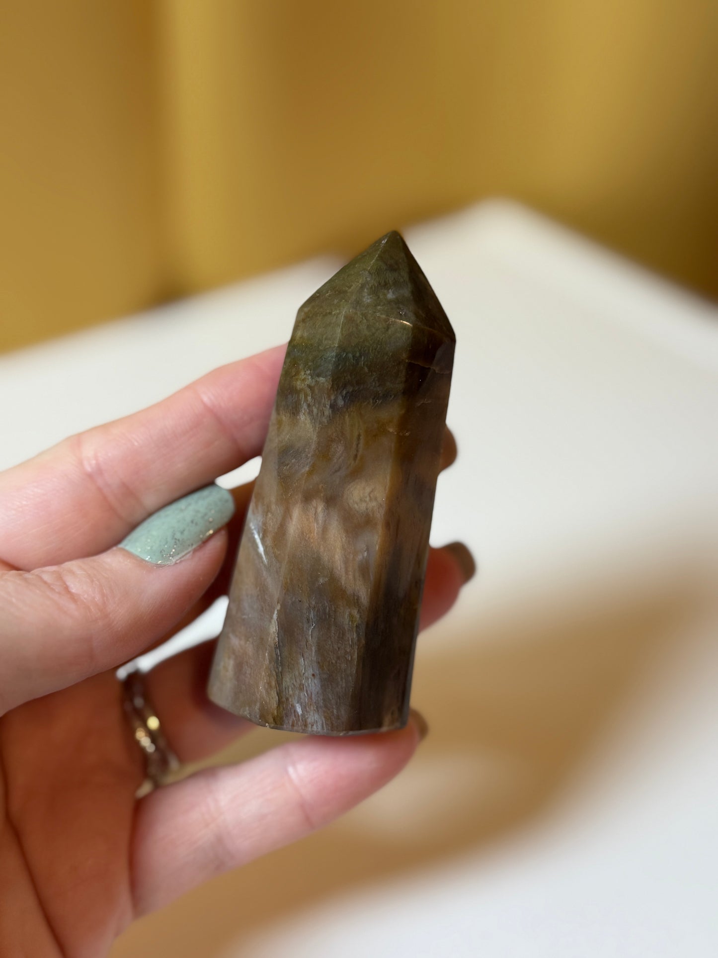 Petrified Wood  Polished Points
