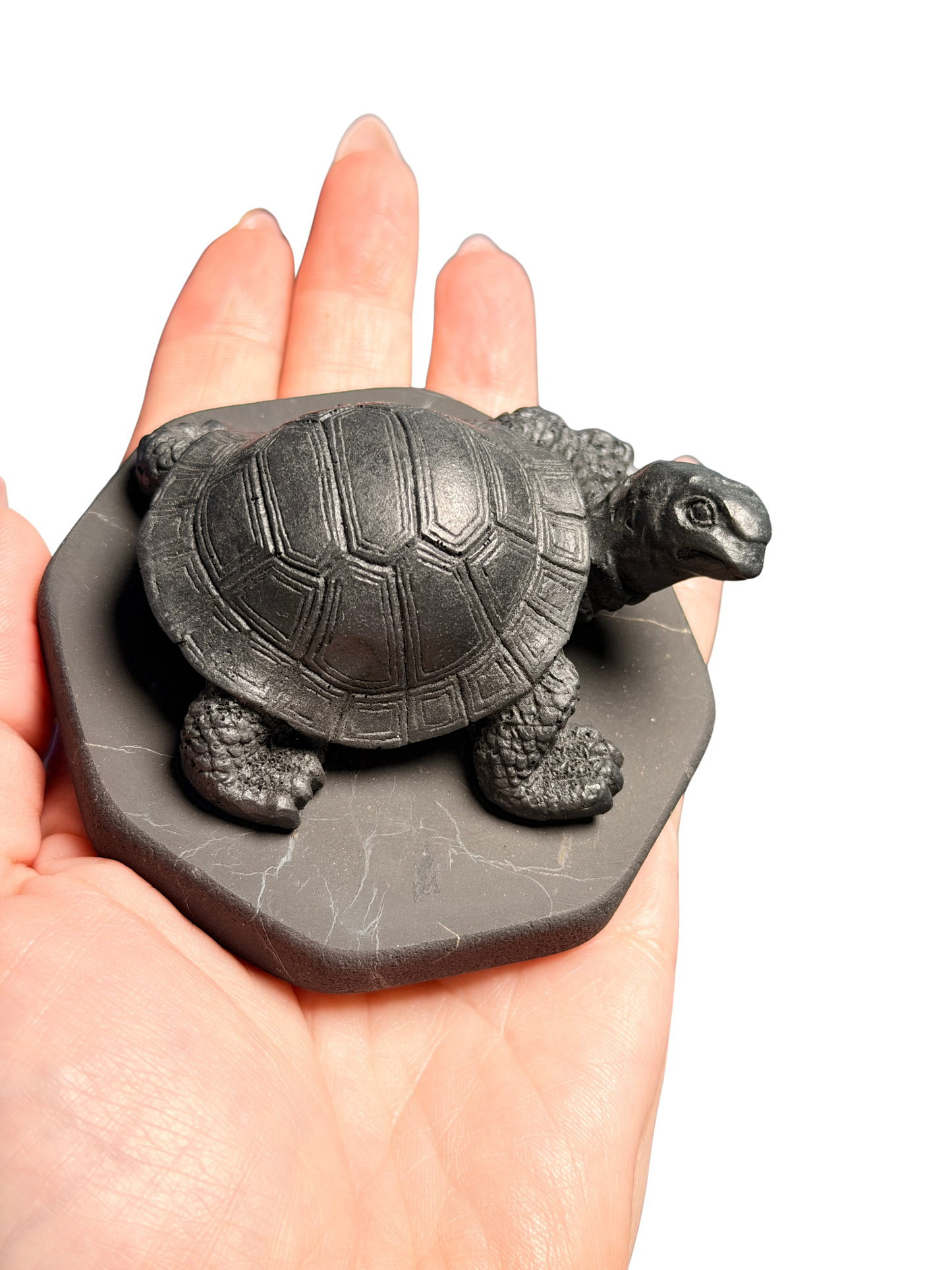 Shungite Turtle Figurine