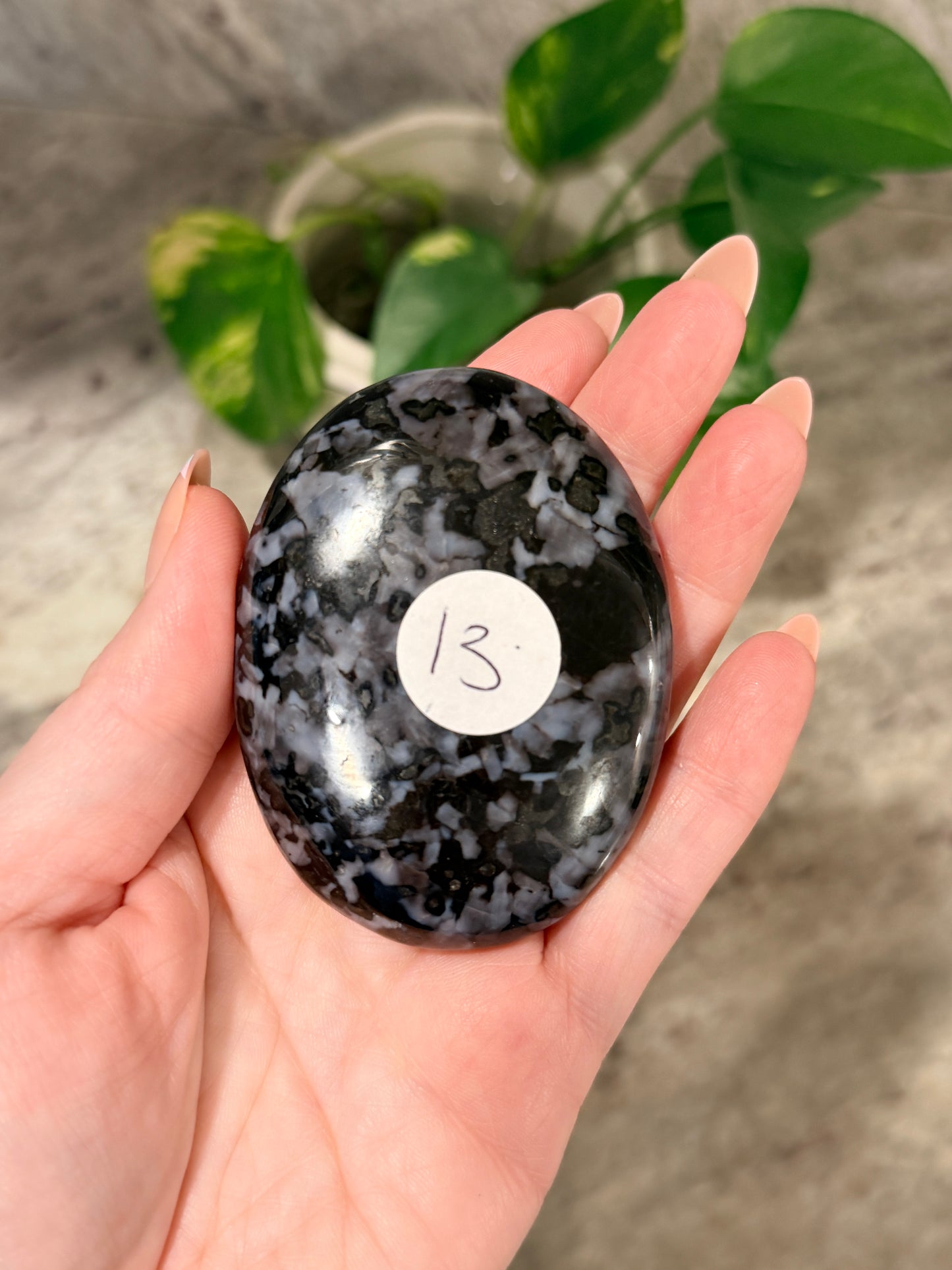 Indigo Gabbro (Mystical Merlinite) Palm Stone