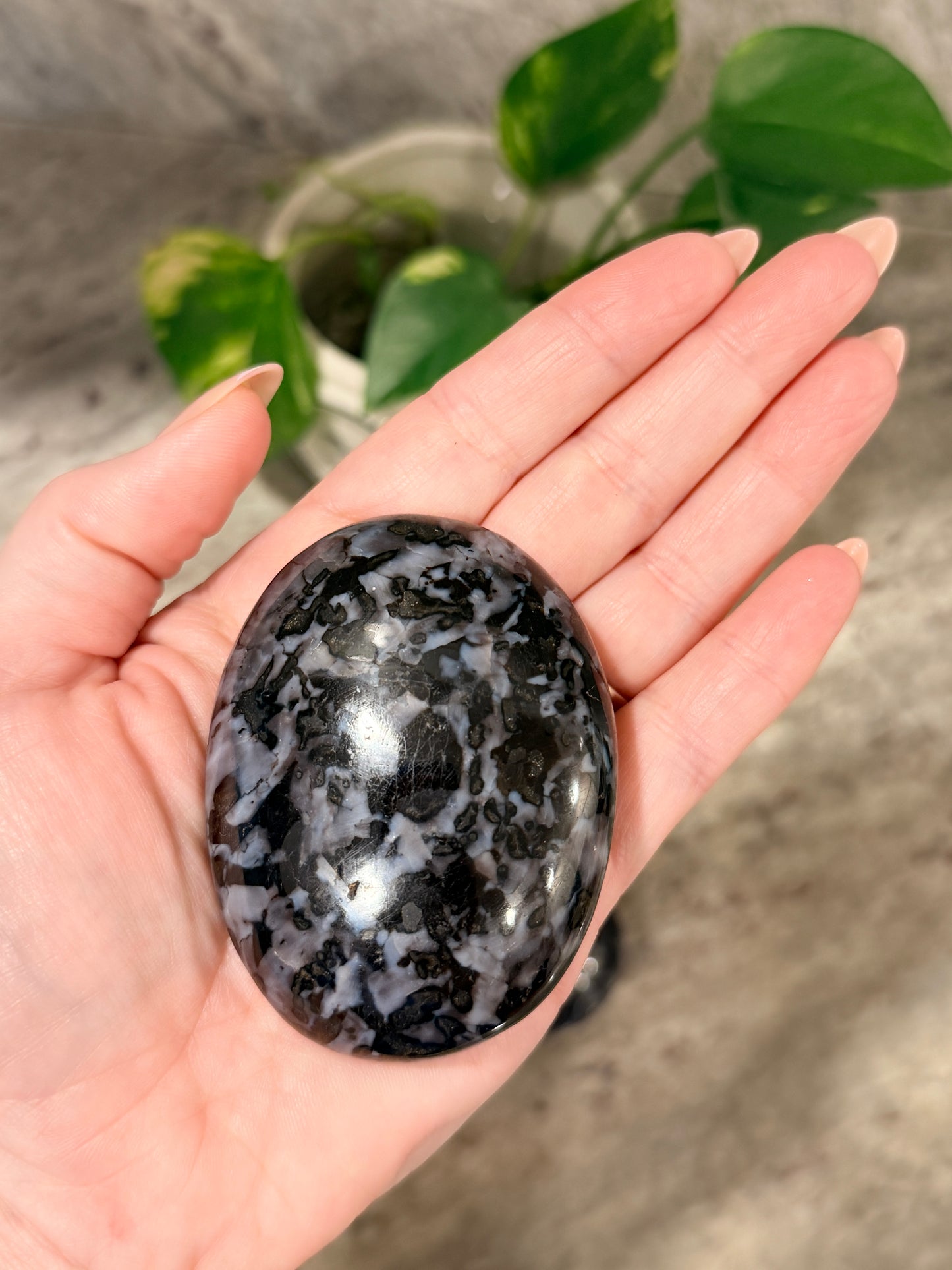 Indigo Gabbro (Mystical Merlinite) Palm Stone