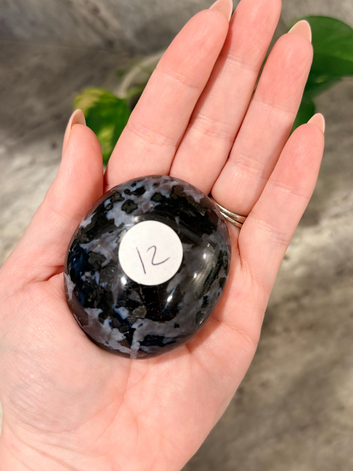 Indigo Gabbro (Mystical Merlinite) Palm Stone