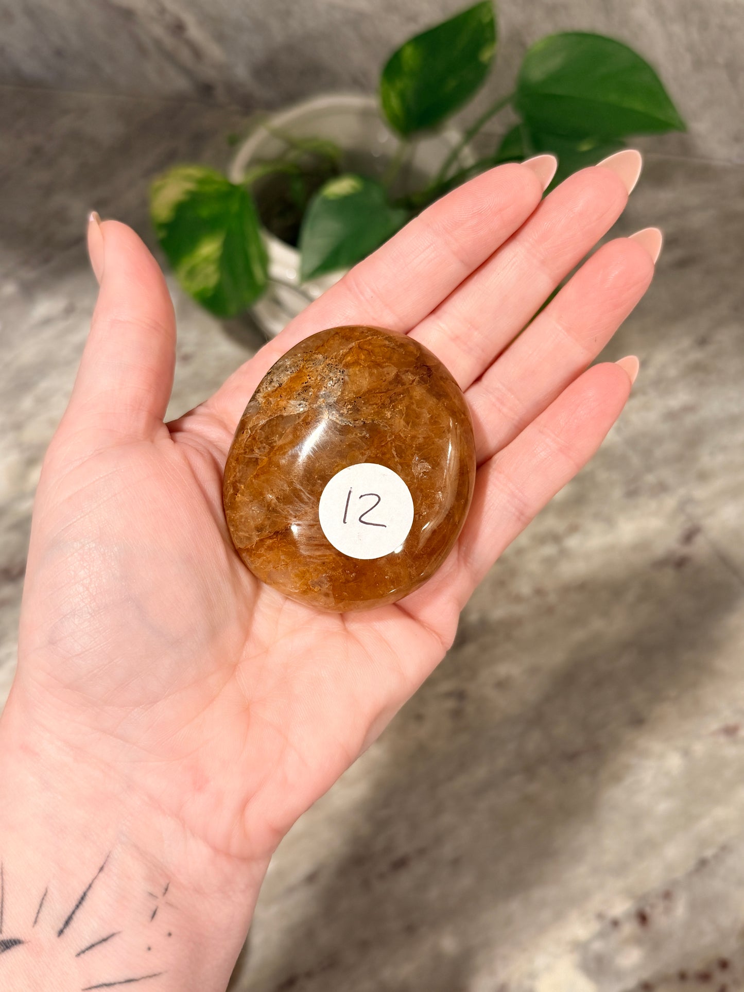 Golden Healer Palm Stone