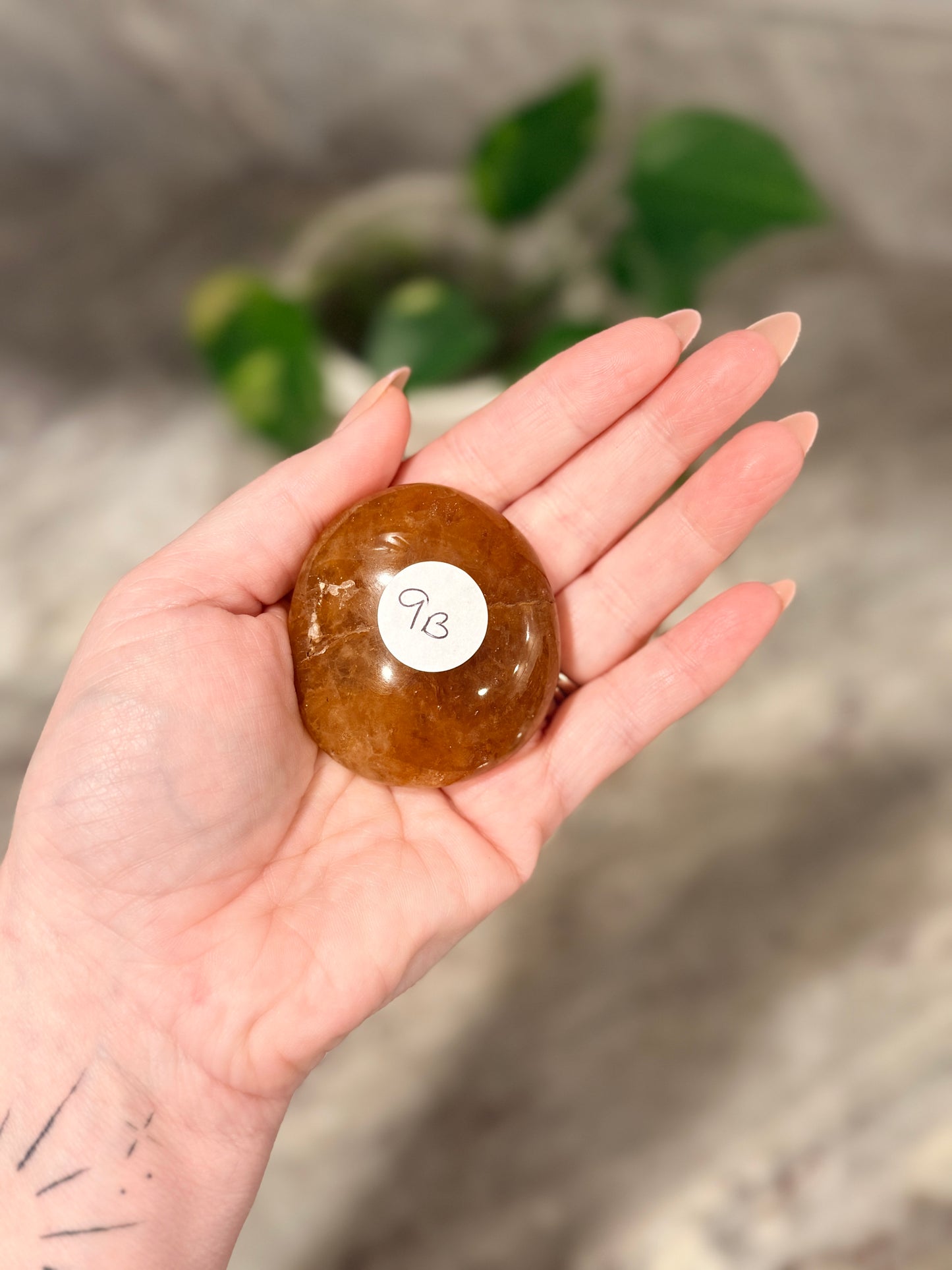 Golden Healer Palm Stone