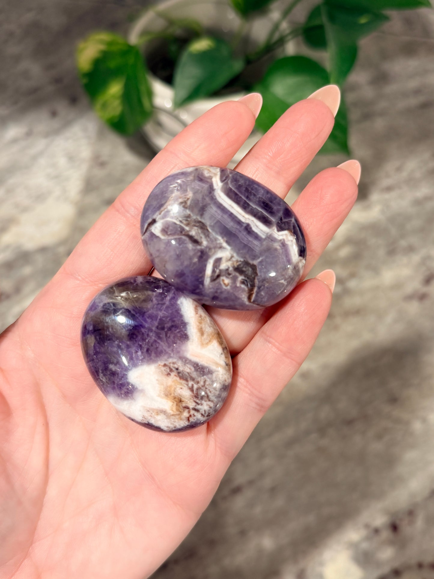 Amethyst Palm Stone
