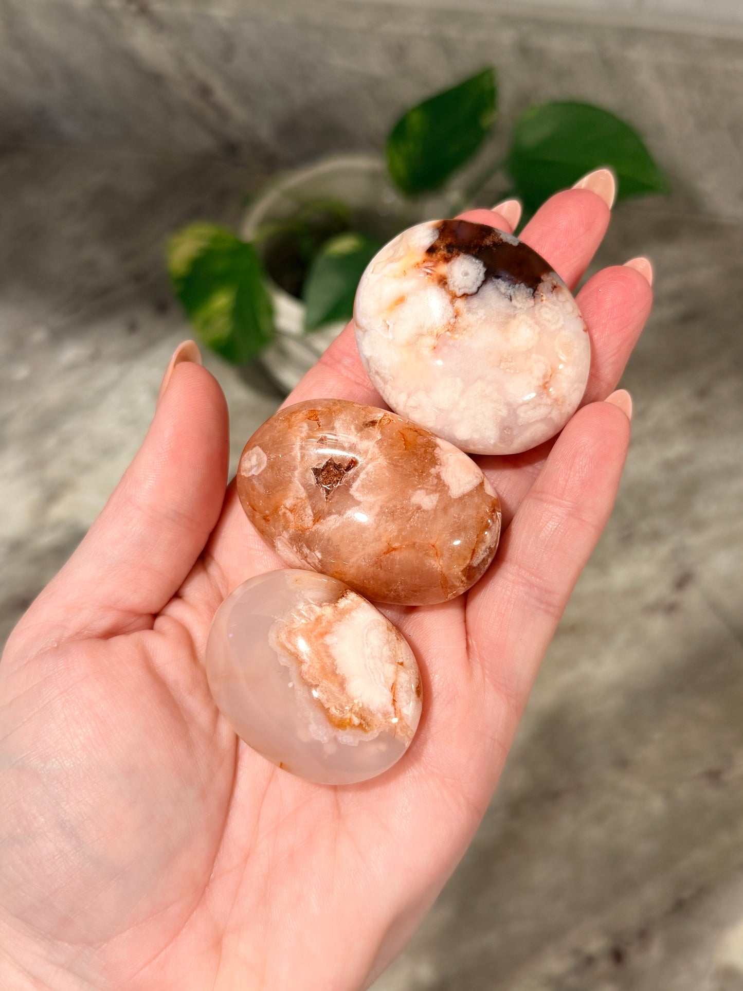 Carnelian Flower Agate Palm Stone