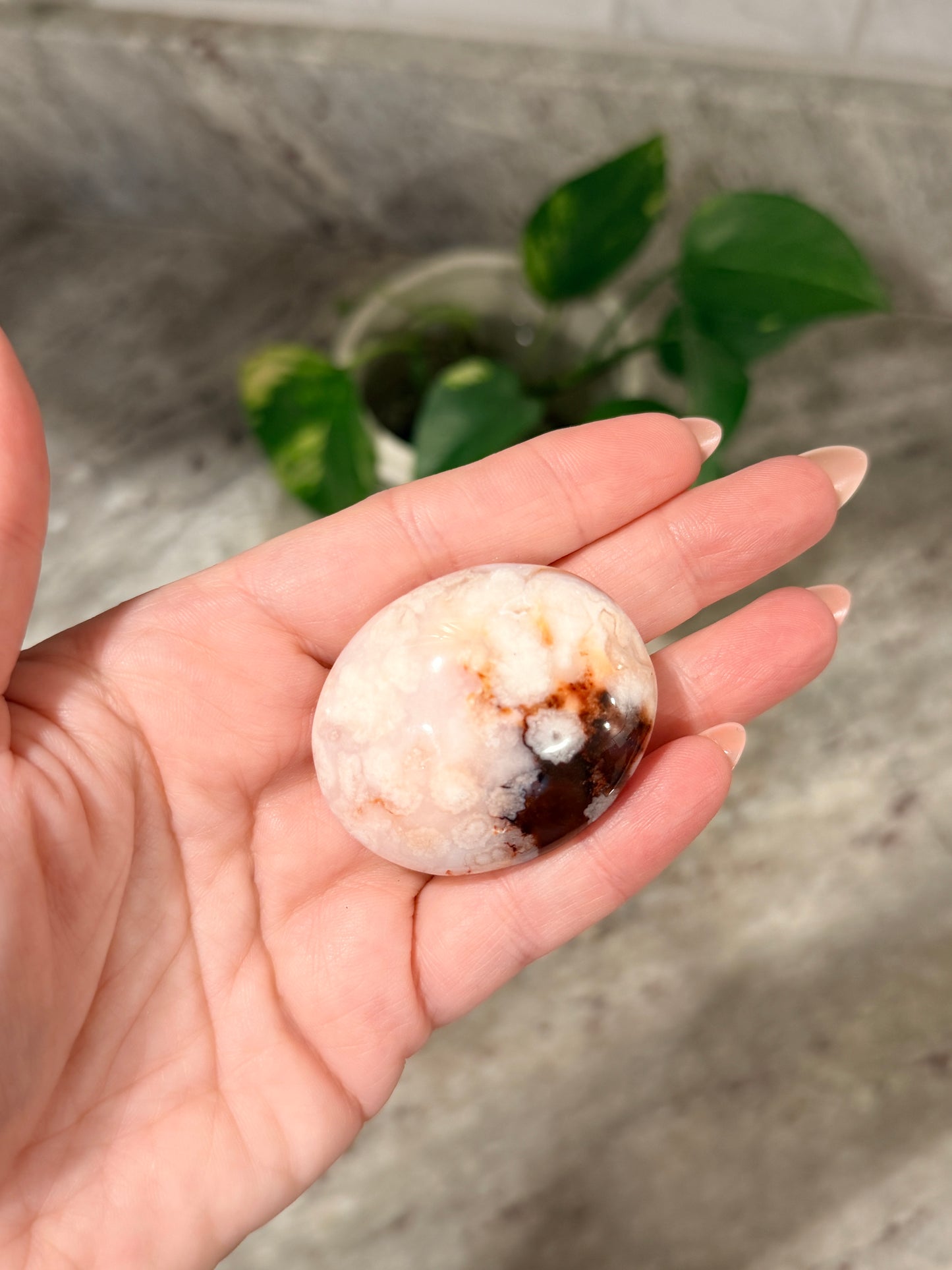 Carnelian Flower Agate Palm Stone