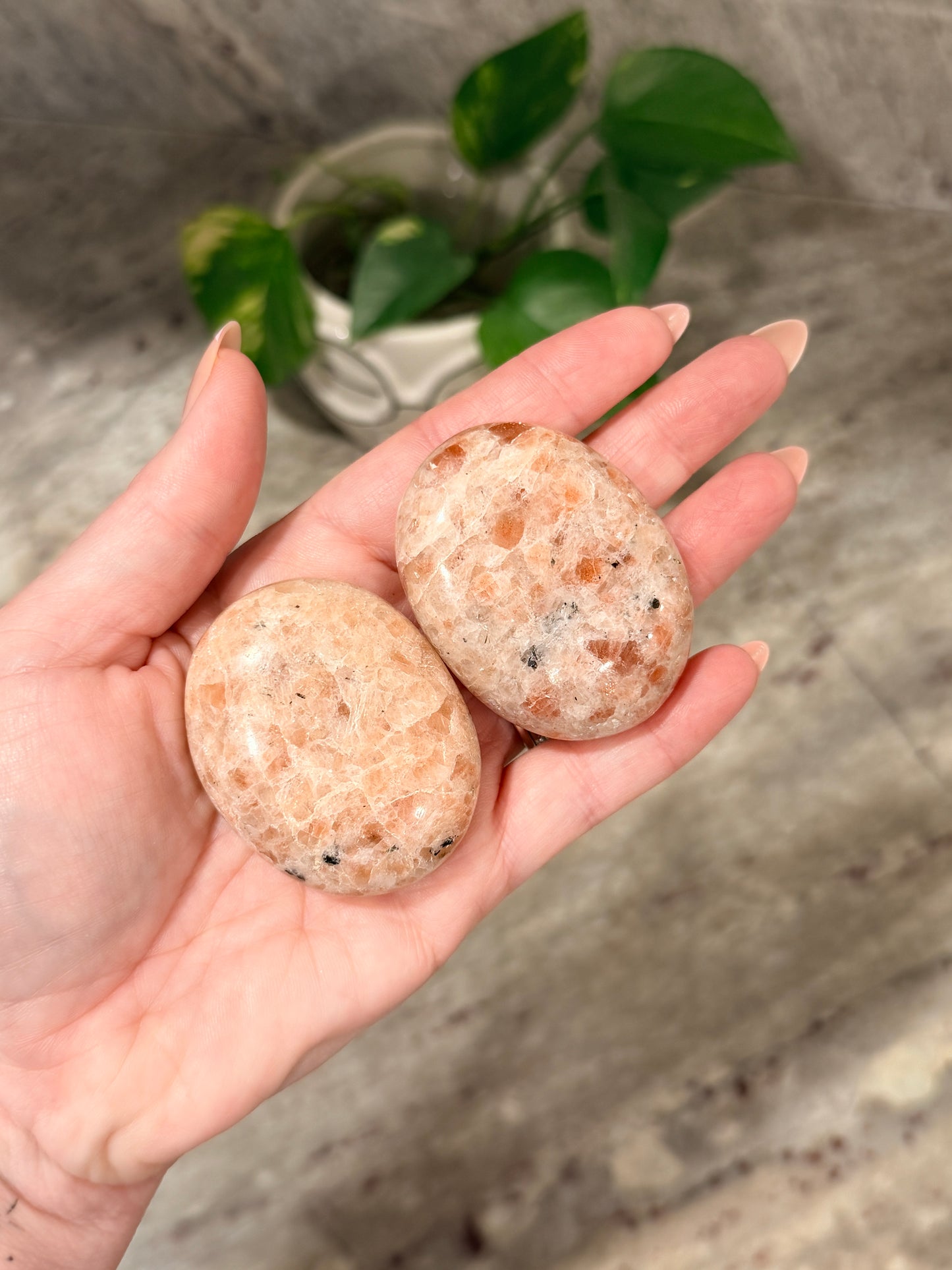 Sunstone Palm Stone
