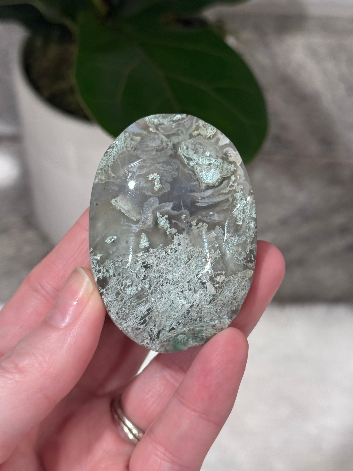 Moss Agate Palm Stone
