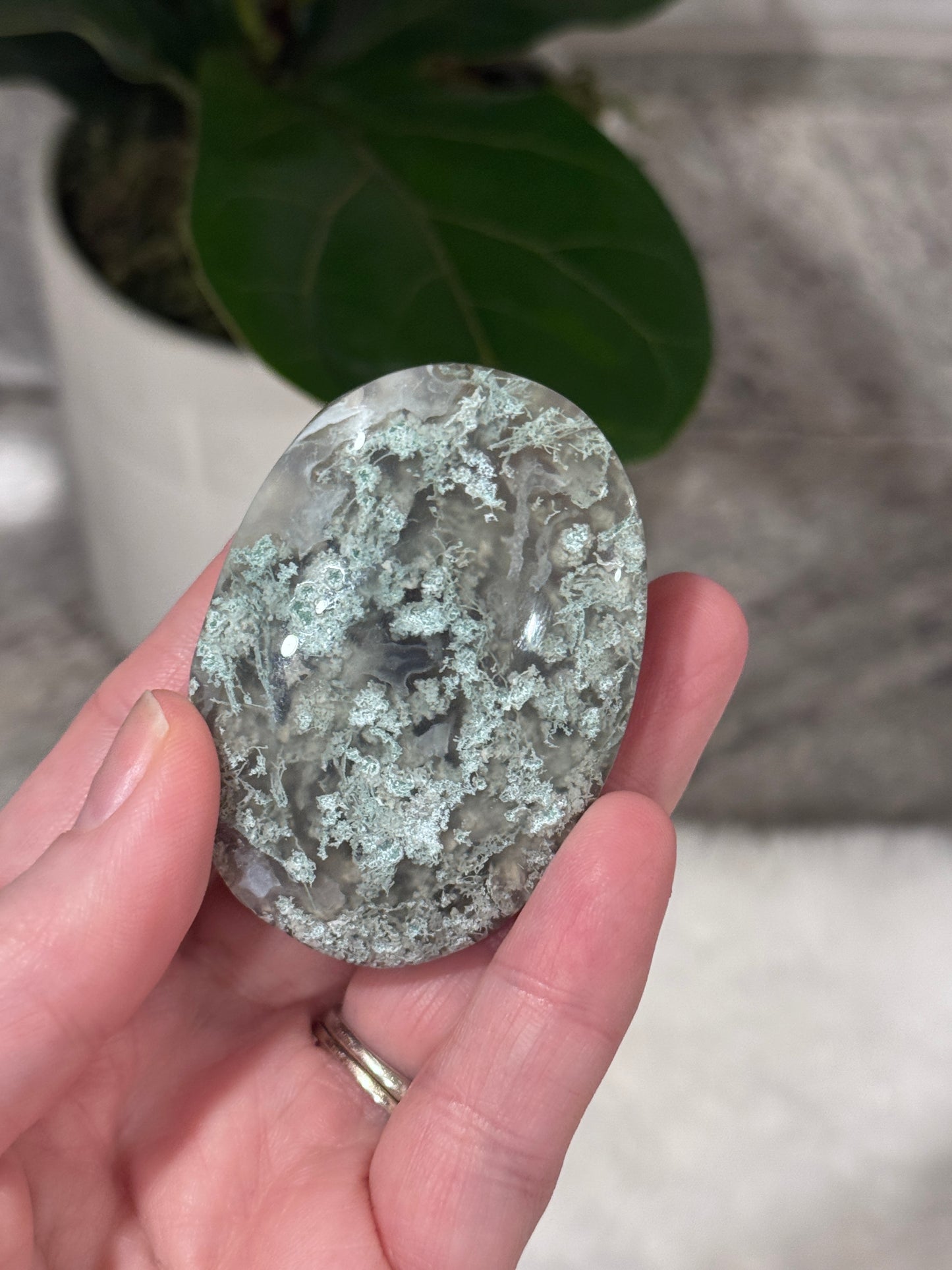 Moss Agate Palm Stone