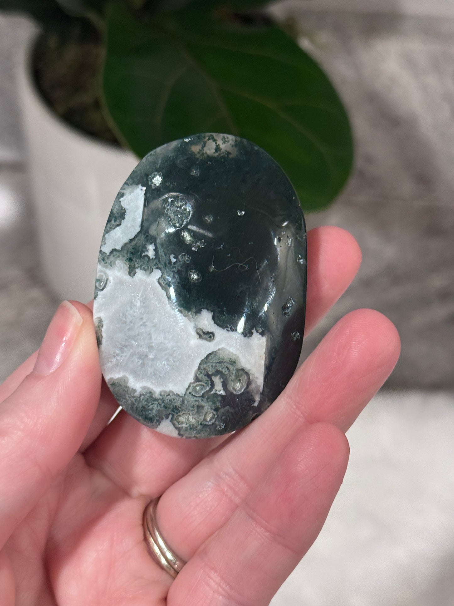 Moss Agate Palm Stone