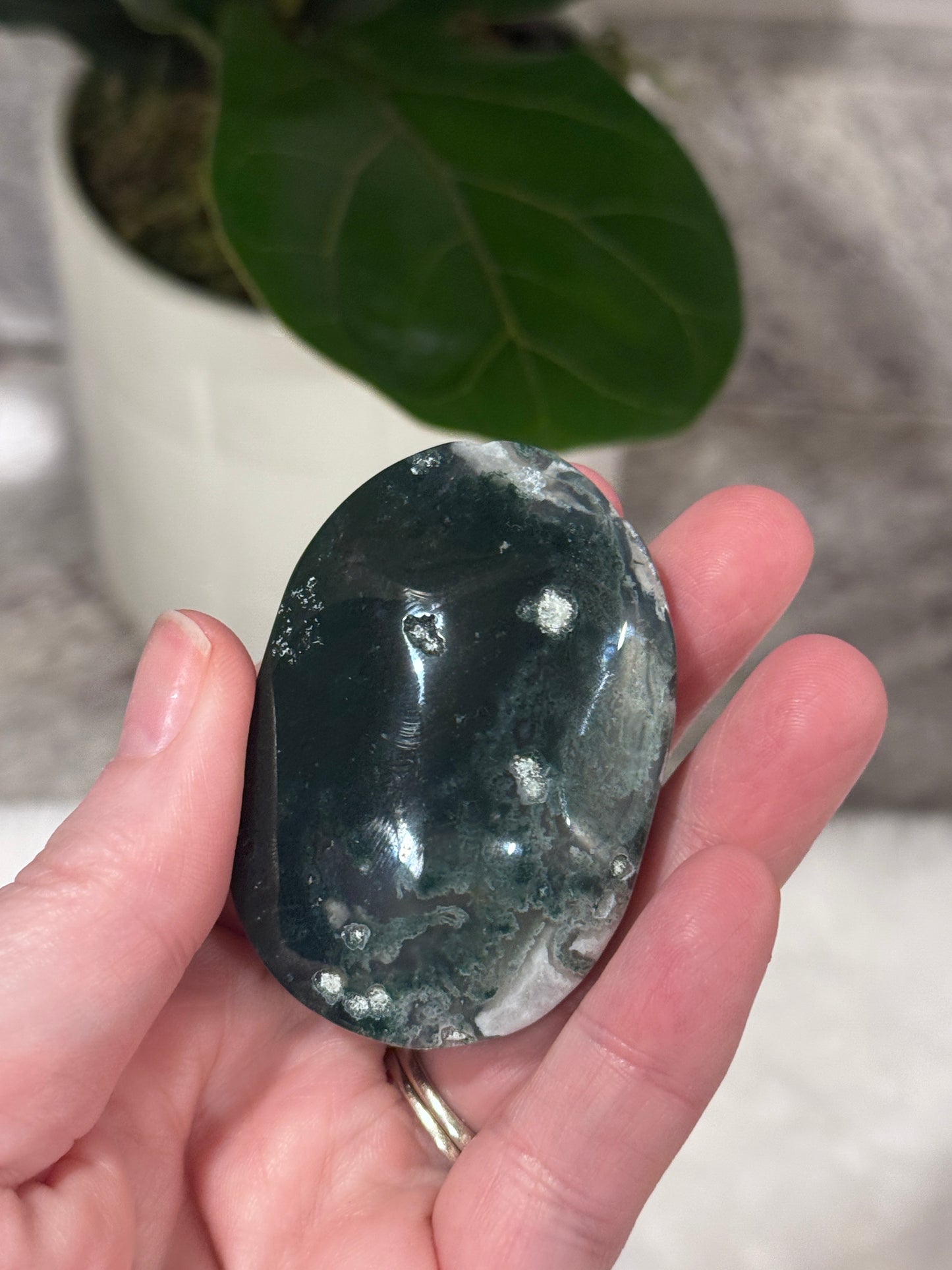Moss Agate Palm Stone