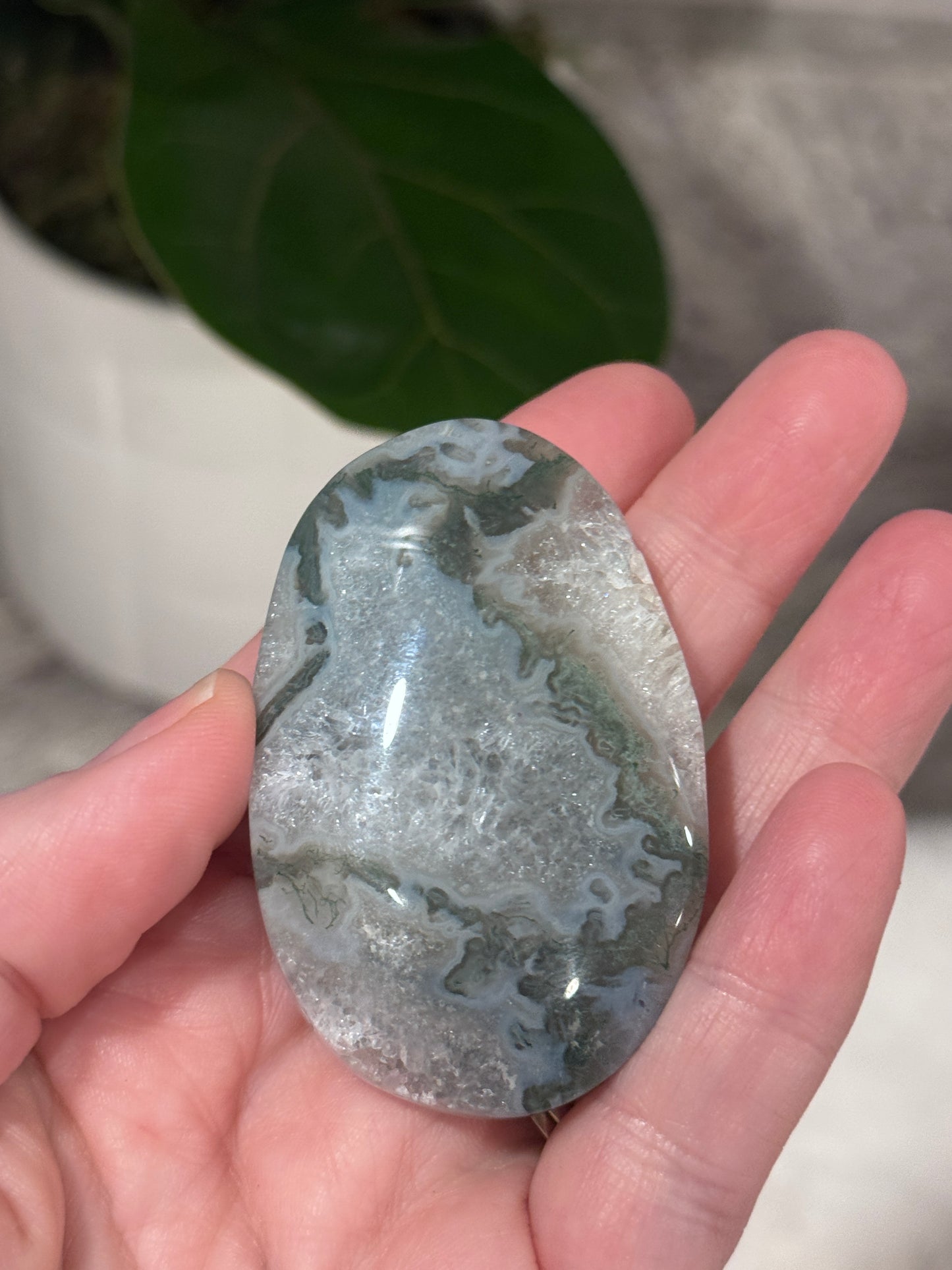 Moss Agate Palm Stone