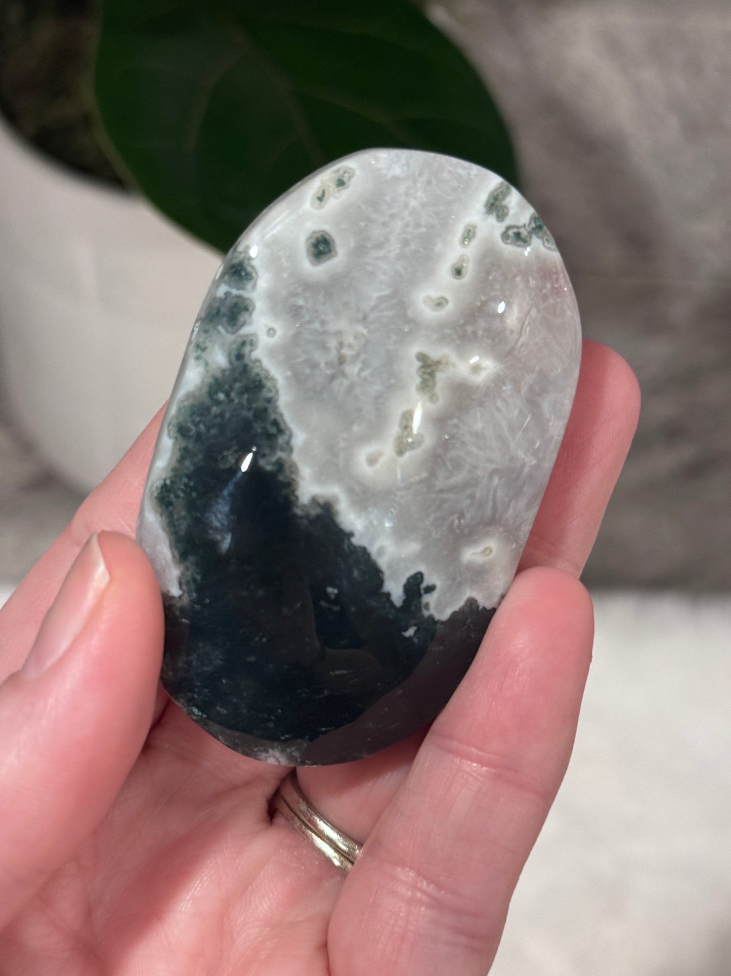 Moss Agate Palm Stone