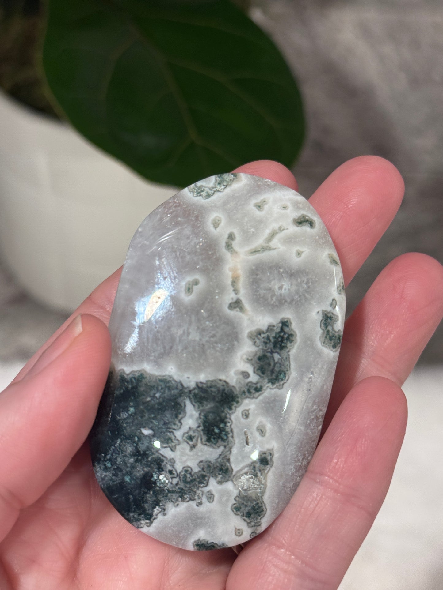 Moss Agate Palm Stone