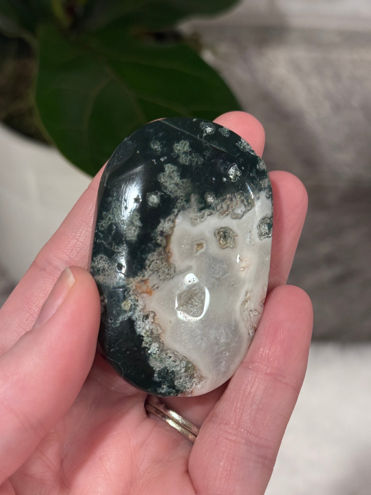 Moss Agate Palm Stone