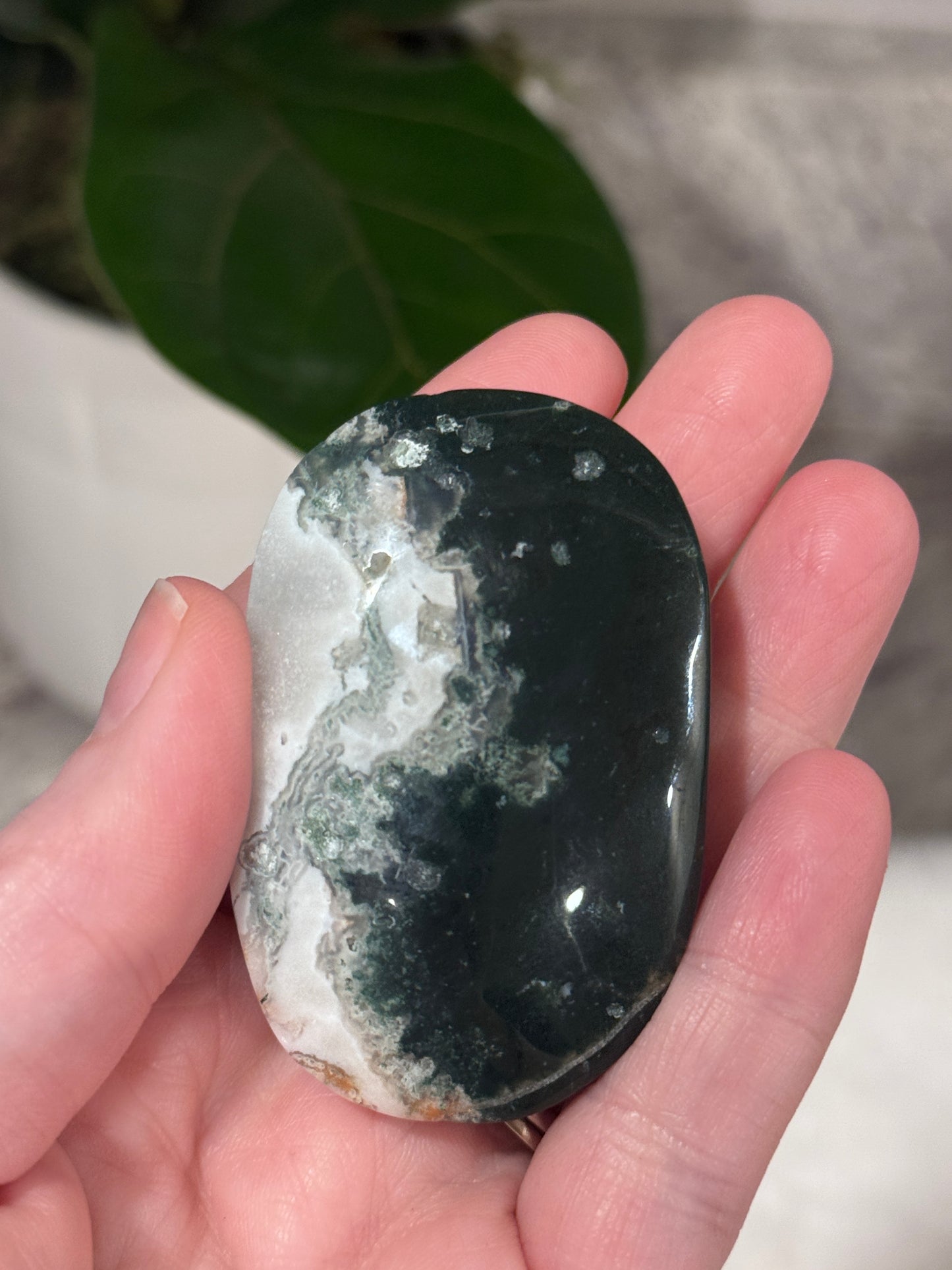 Moss Agate Palm Stone