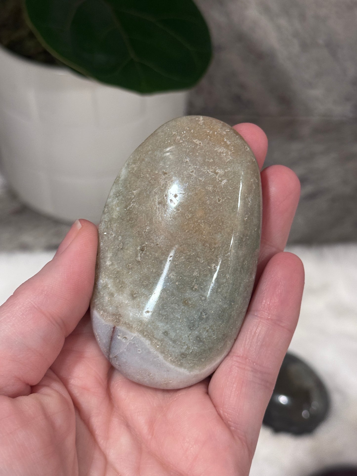 Ocean Jasper Palmstone